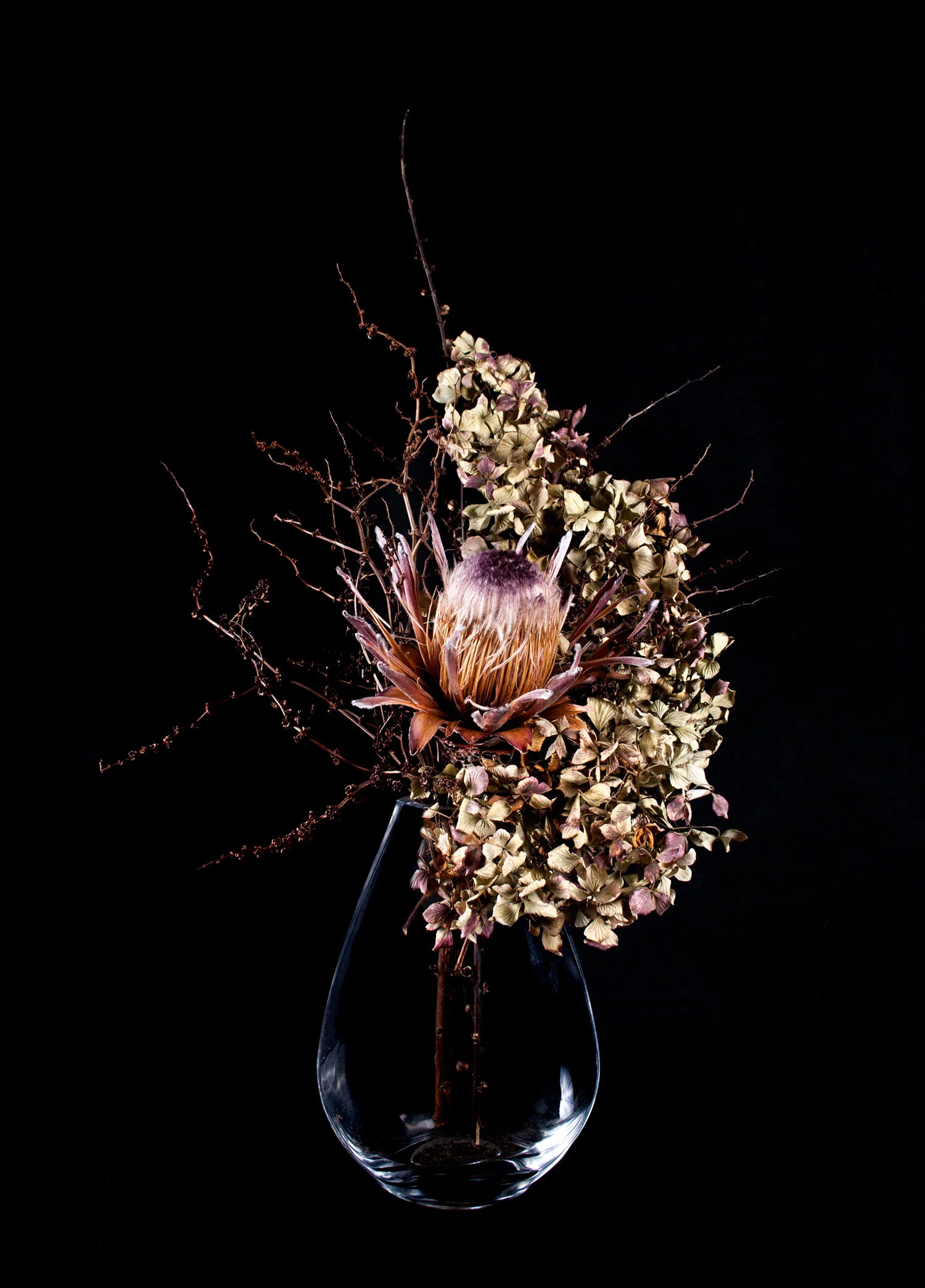 Dead Flowers 6
