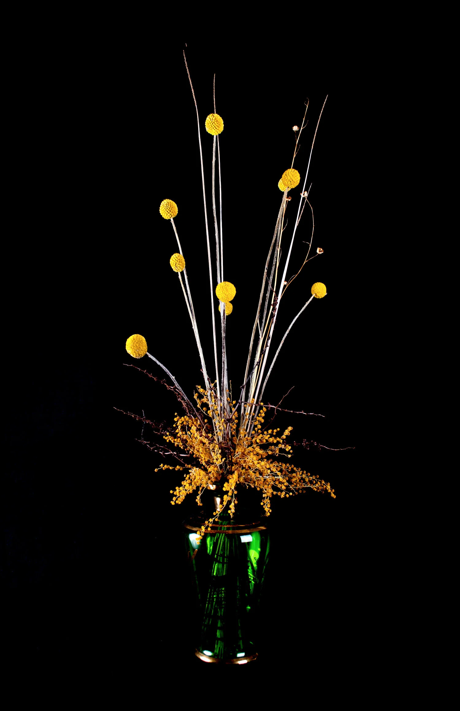 Dead Flowers 7