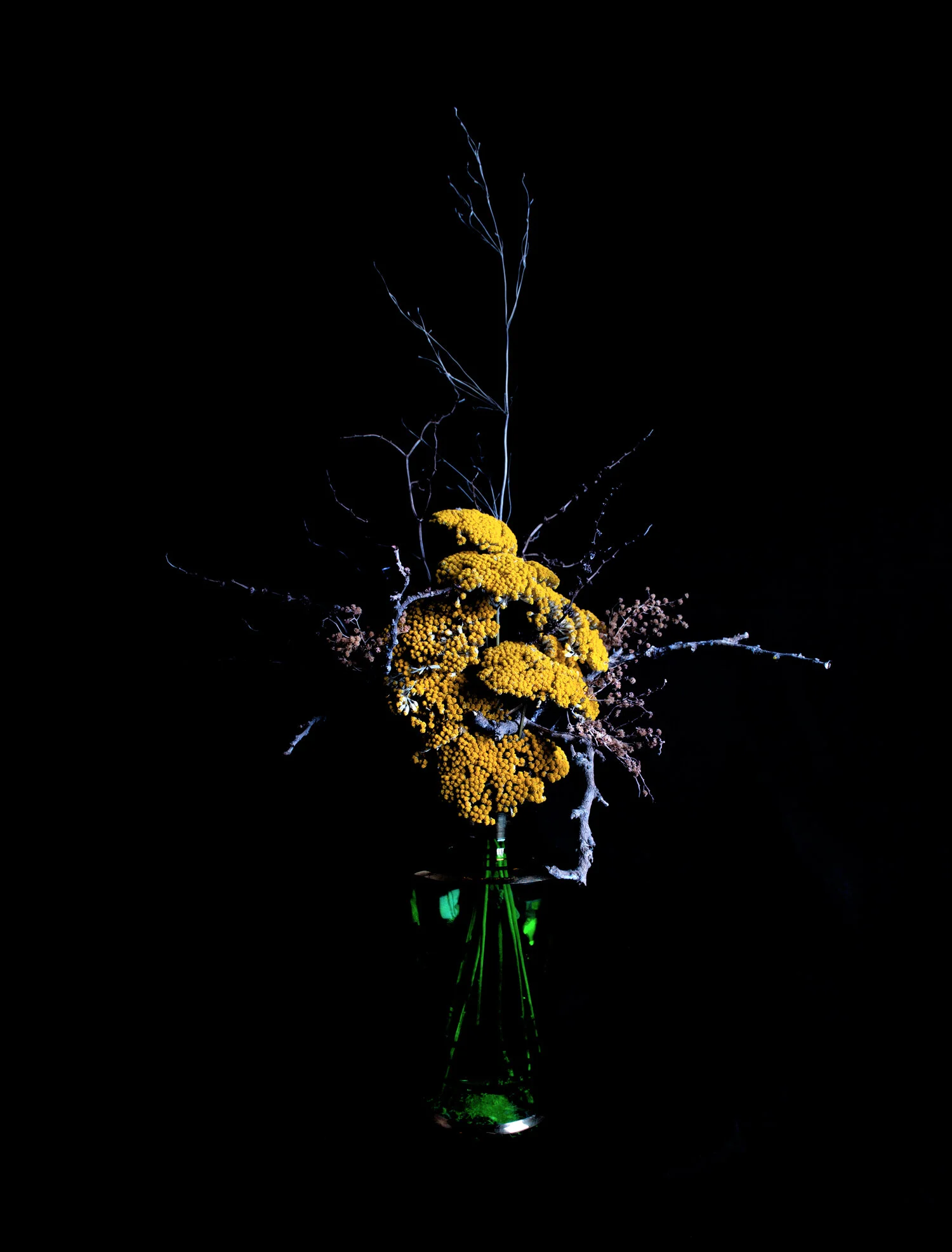 Dead Flowers 11