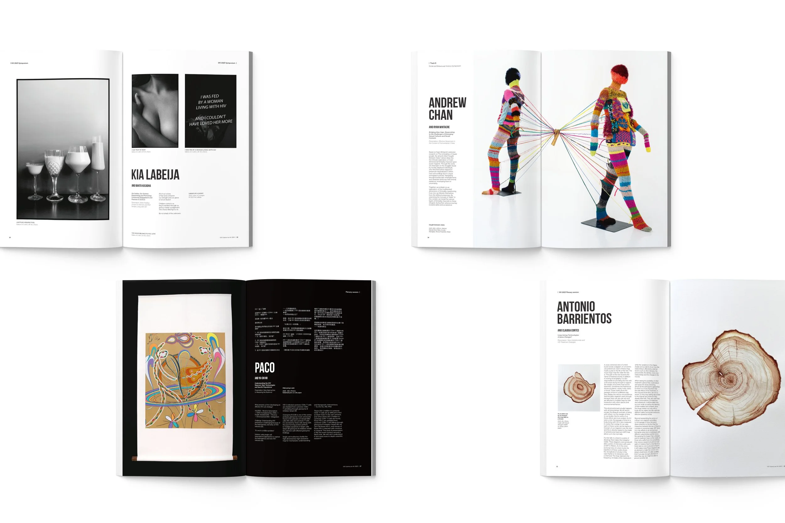 HIVSaA brisbane image 15.jpg