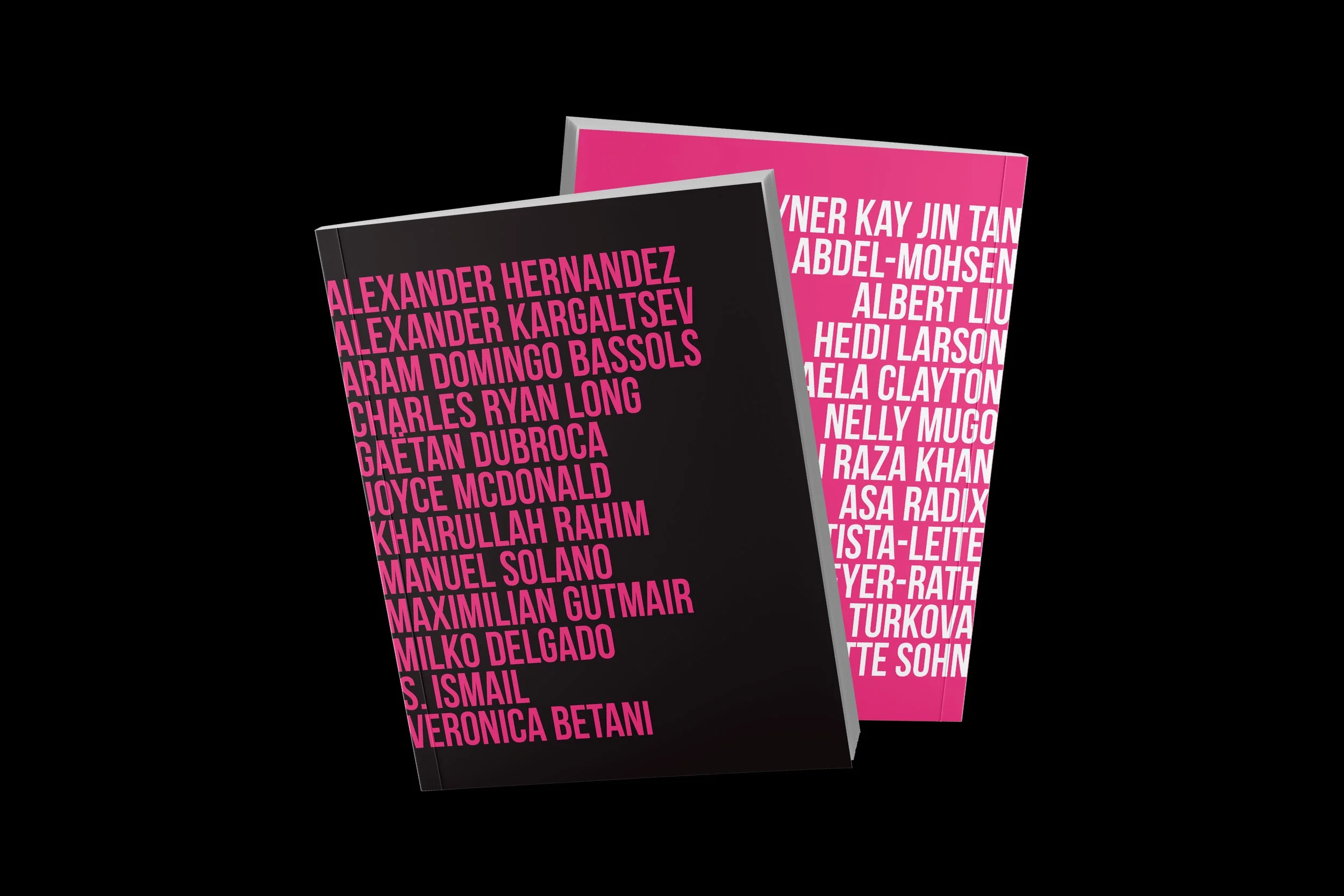 HIVSaA munich image 1.jpg