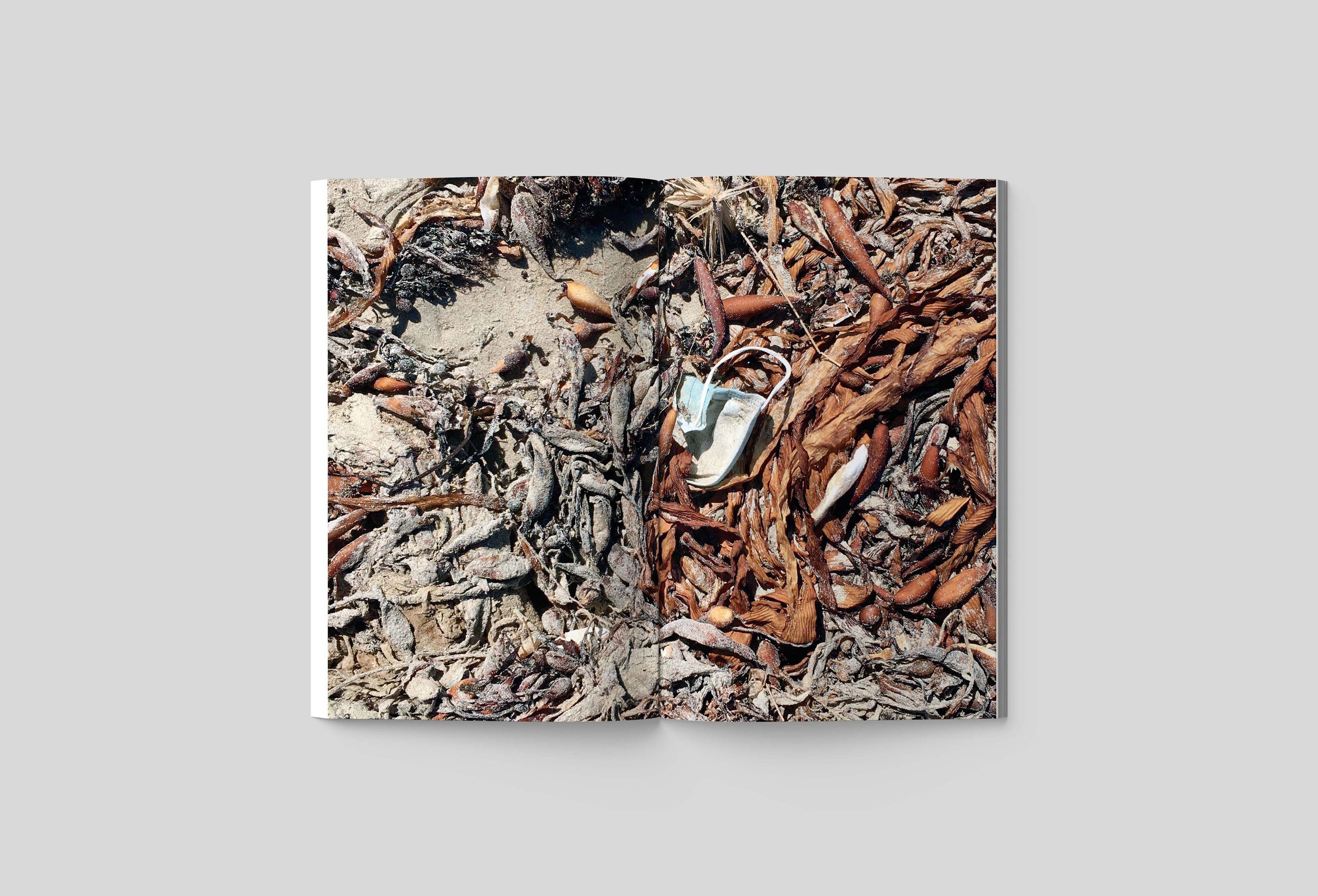 Rubbish Collects spreads website 15.jpg