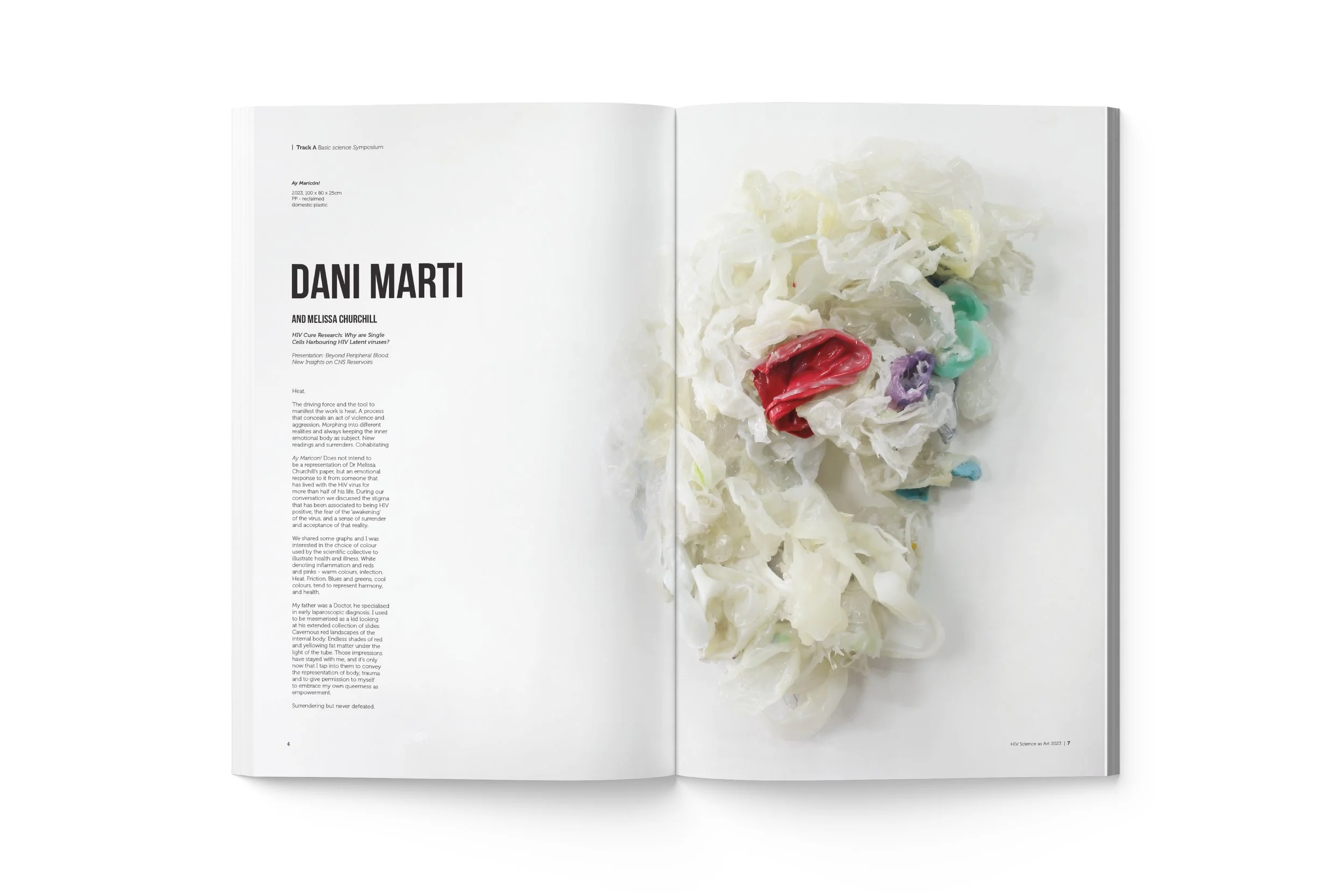 HIVSaA brisbane image 12.jpg