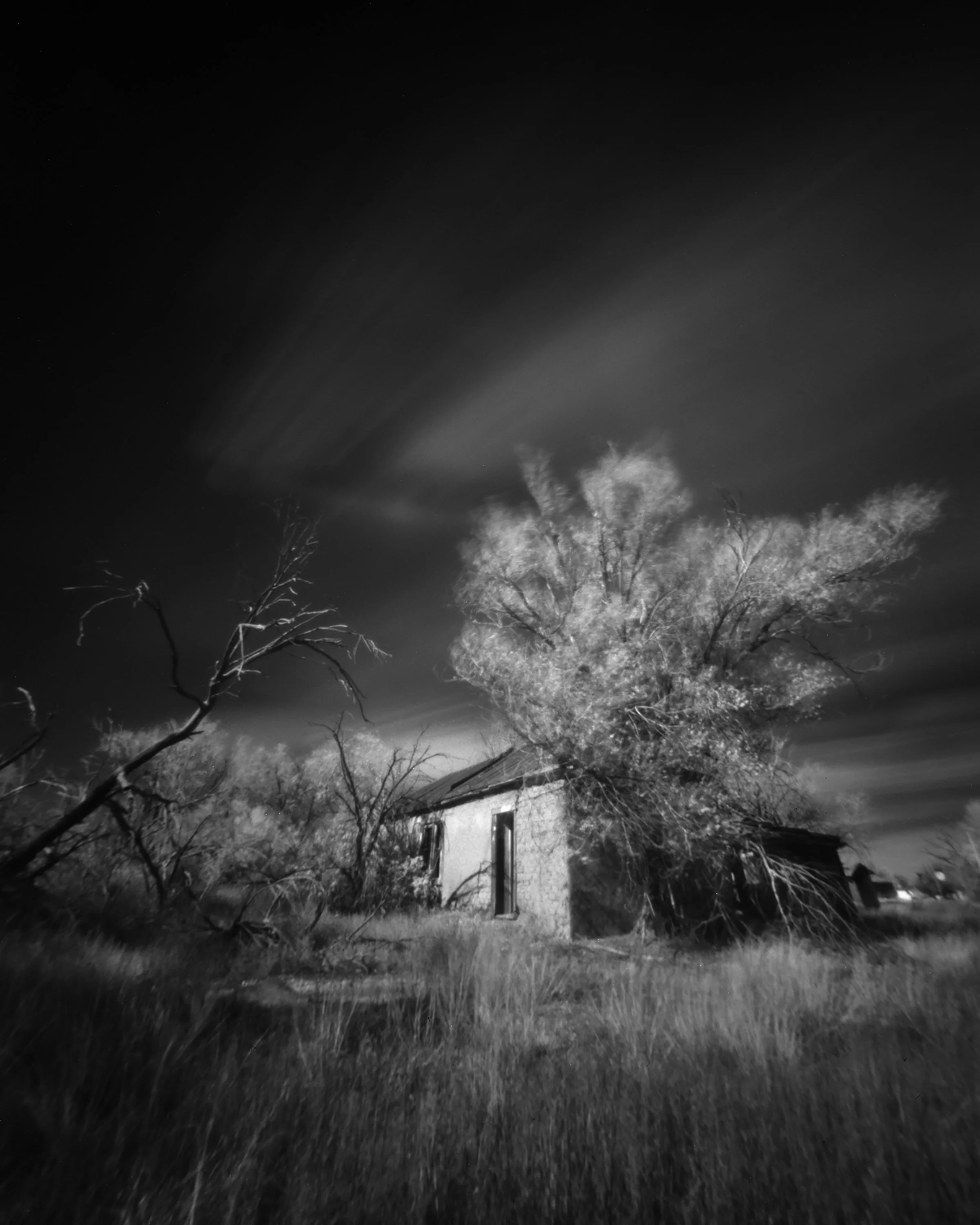 EncinoHouse(1).jpg