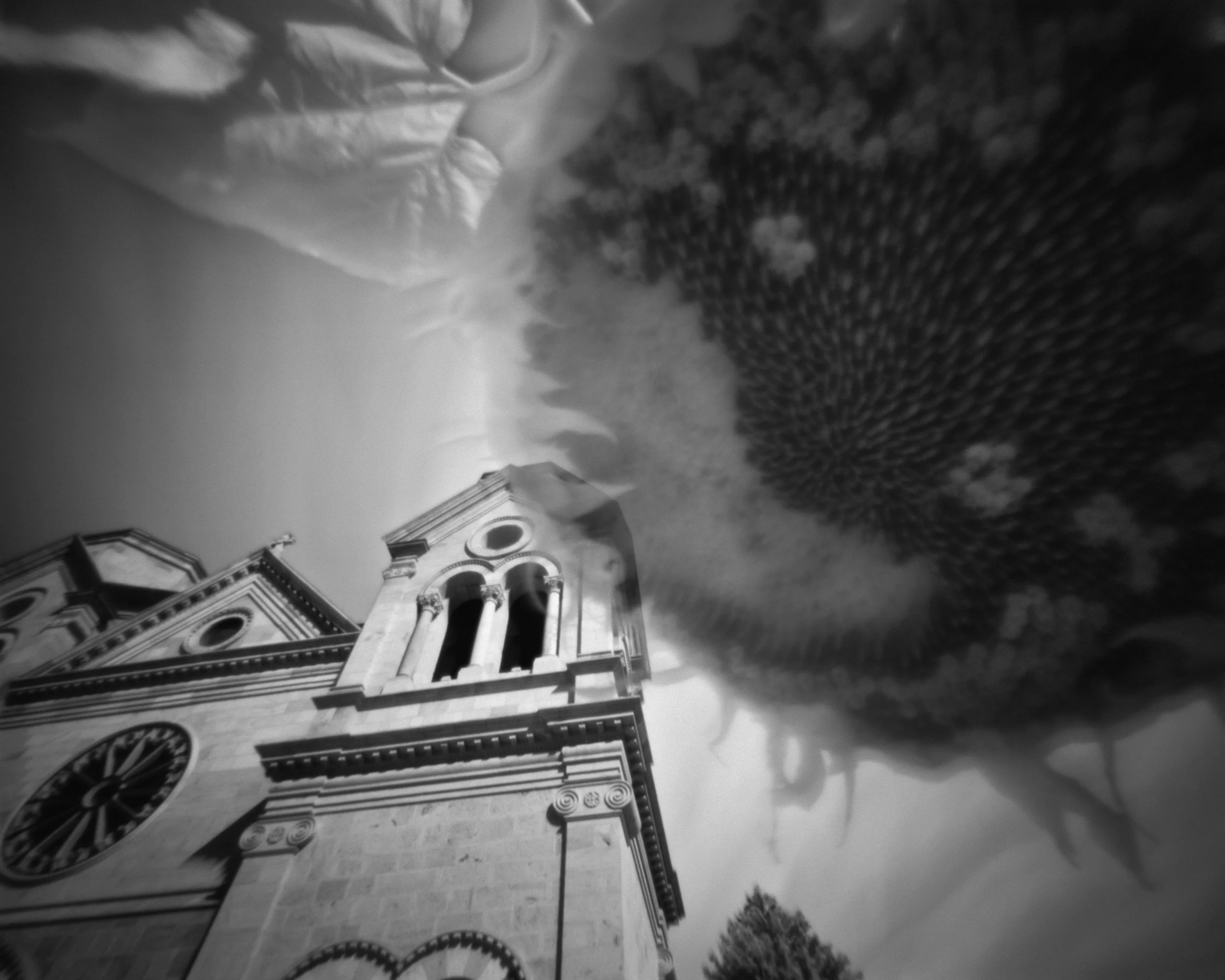 Summer Pinhole Workshop