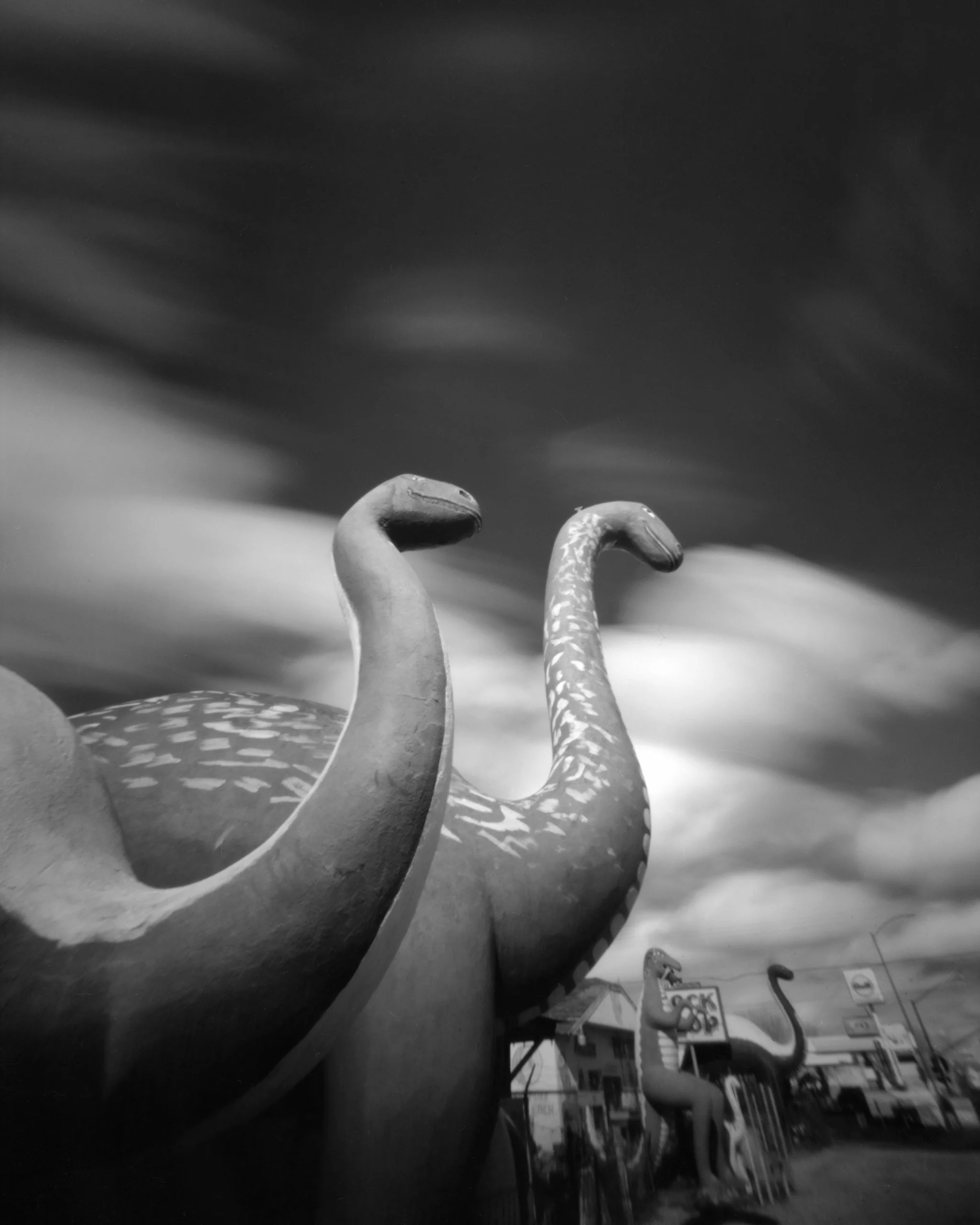 BRONTOS, Holbrook, AZ. 2024.jpg