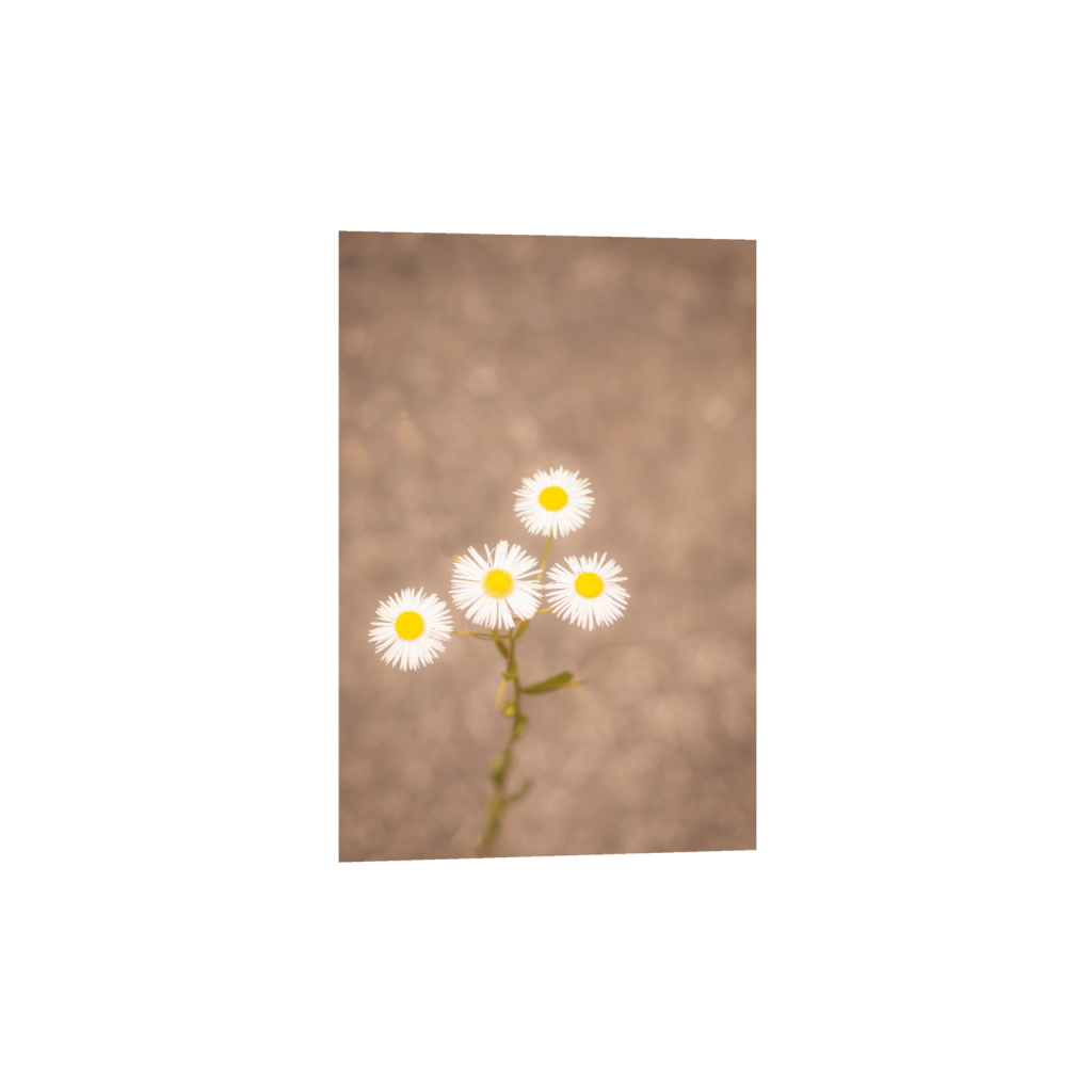ptq_1_3_206_0_2596_3894_0_true_ffffff_2_2_.png