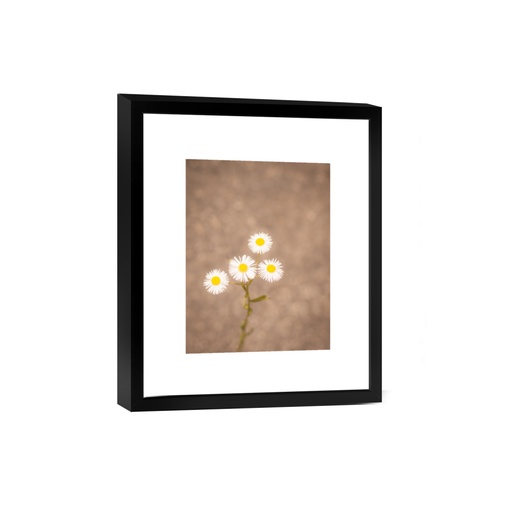 ptq_45_5_44_0_2920_3894_0_true_ffffff_2_2_.png