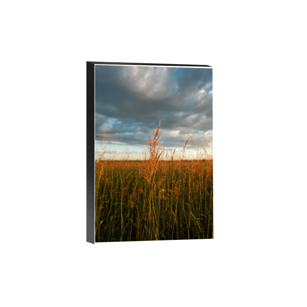 ptq_32_3_0_0_4160_6240_0_true_ffffff_2_2_.png