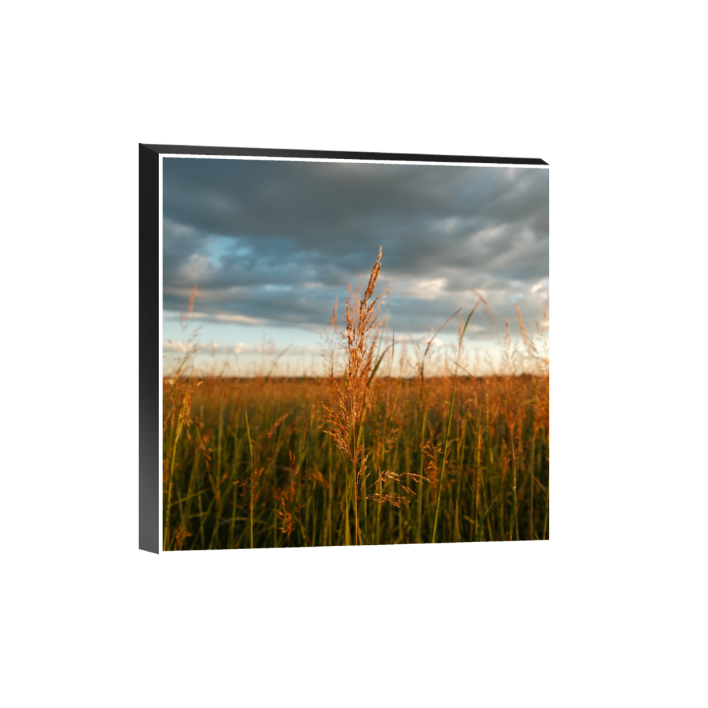 ptq_32_0_0_1040_4160_4160_0_true_ffffff_2_2_.png