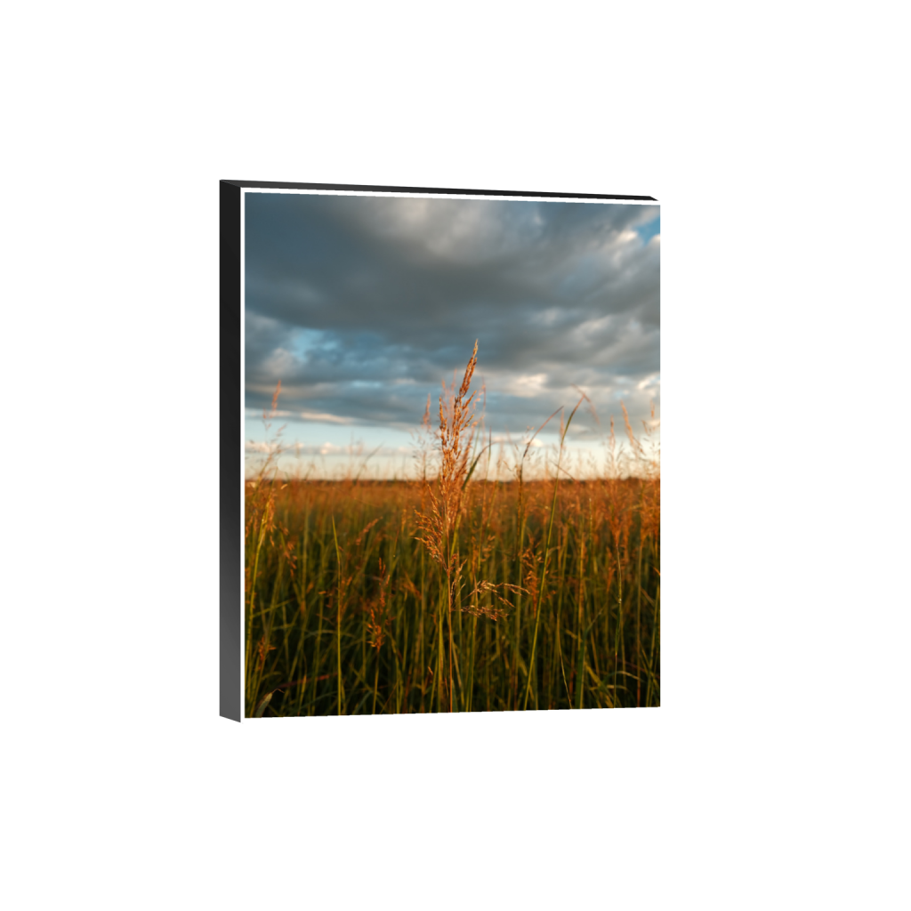 ptq_32_6_0_520_4160_5200_0_true_ffffff_2_2_.png