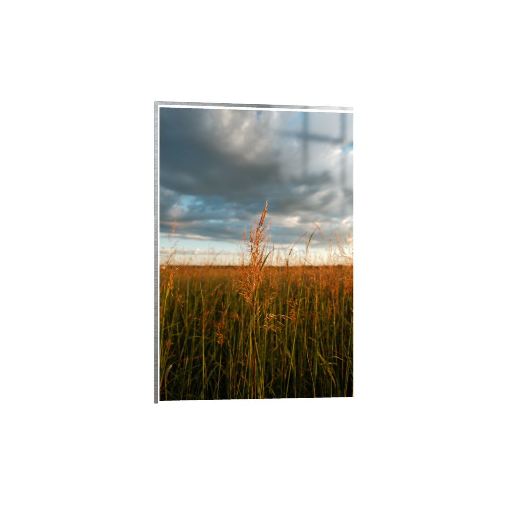 ptq_13_3_0_0_4160_6240_0_true_ffffff_2_2_.png