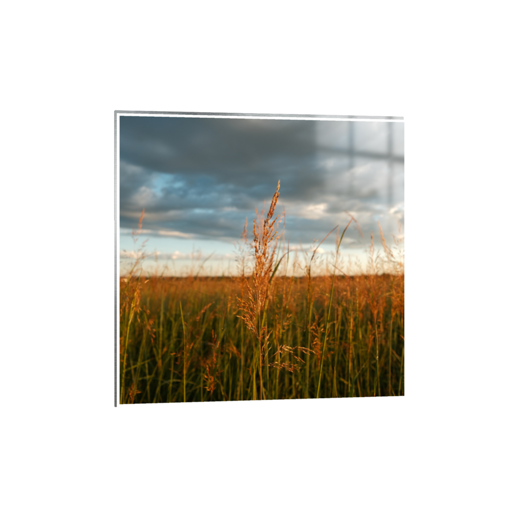 ptq_13_0_0_1040_4160_4160_0_true_ffffff_2_2_.png
