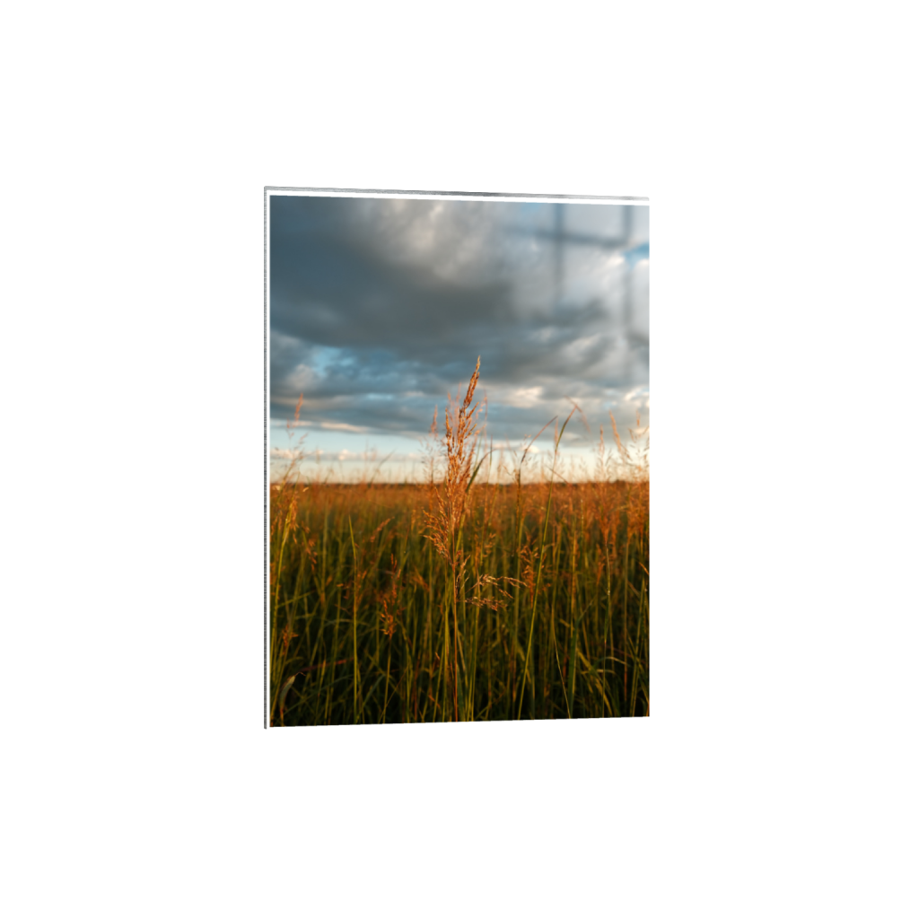 ptq_13_7_0_208_4160_5824_0_true_ffffff_2_2_.png