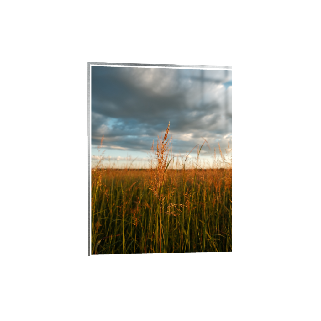 ptq_13_5_0_346_4160_5546_0_true_ffffff_2_2_.png