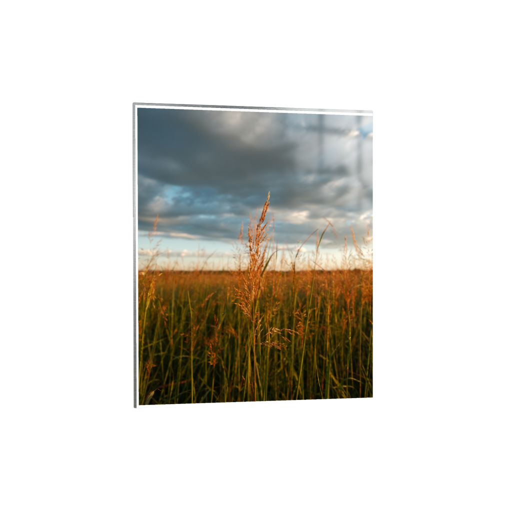 ptq_13_6_0_520_4160_5200_0_true_ffffff_2_2_.png