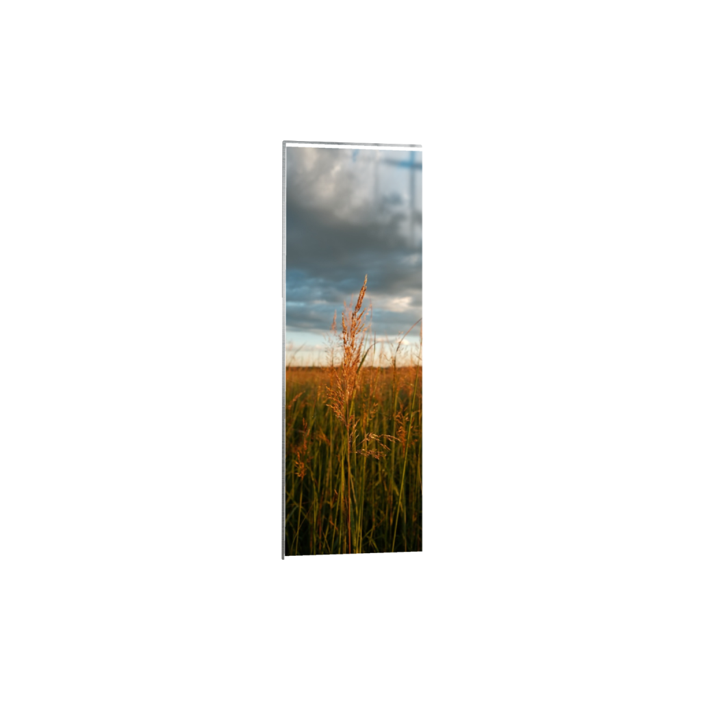ptq_13_2_1040_0_2080_6240_0_true_ffffff_2_2_.png