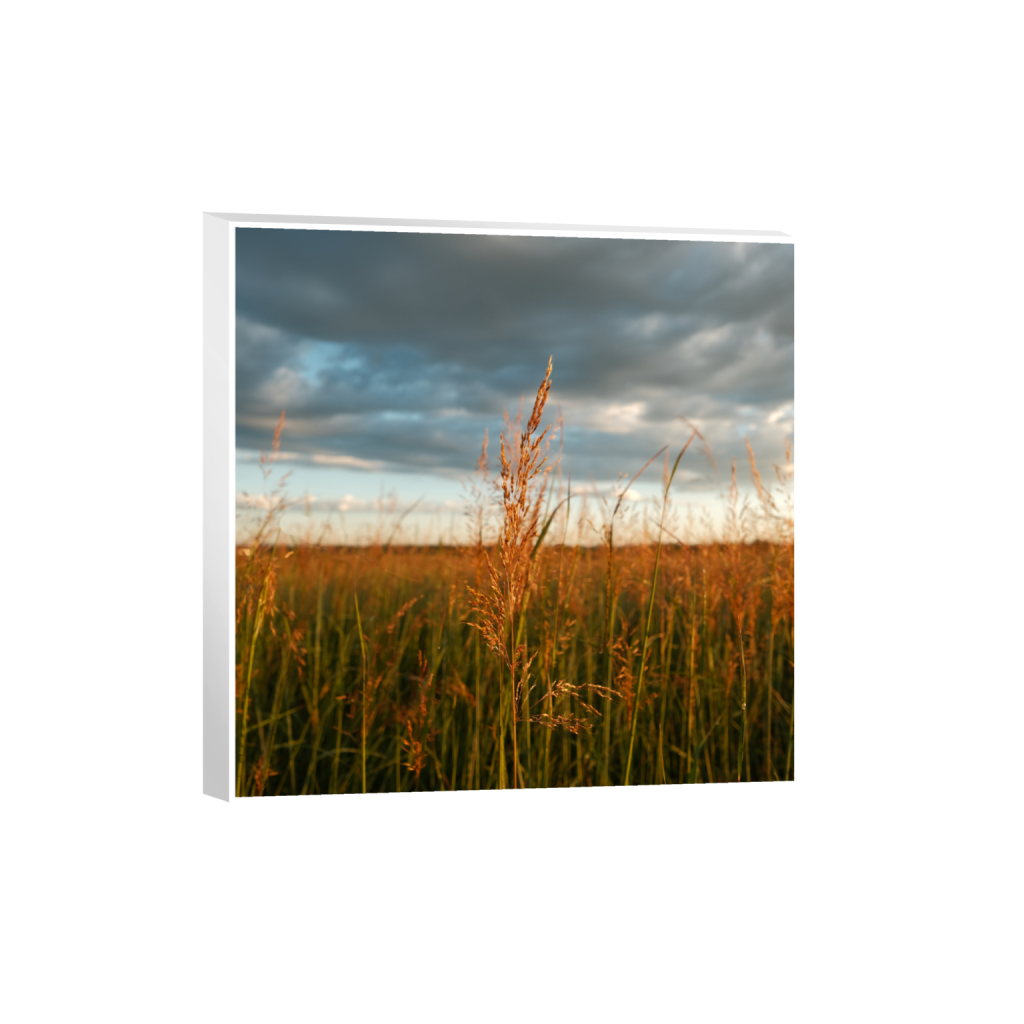 ptq_7_0_0_1040_4160_4160_0_true_ffffff_2_2_.png
