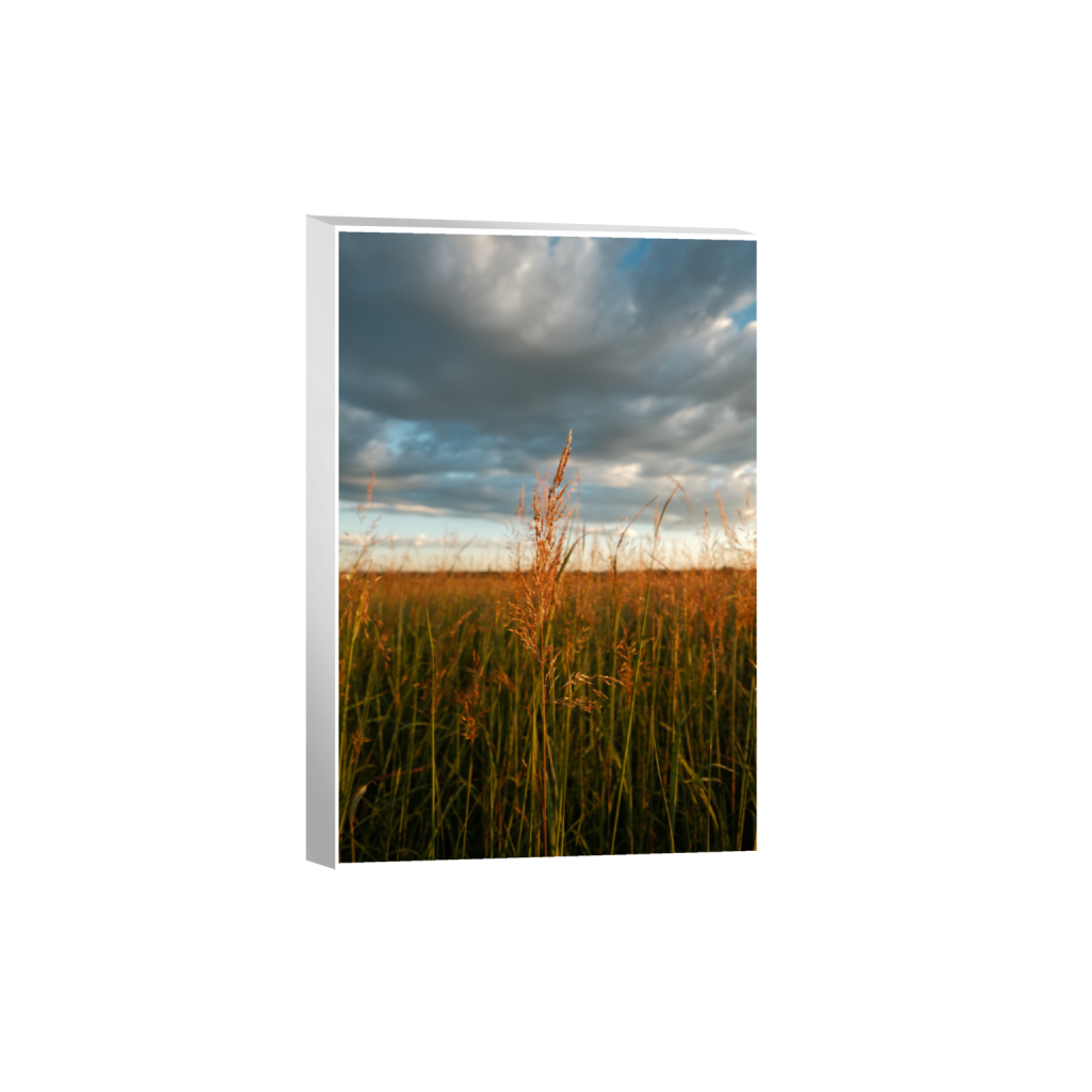 ptq_7_3_0_0_4160_6240_0_true_ffffff_2_2_.png