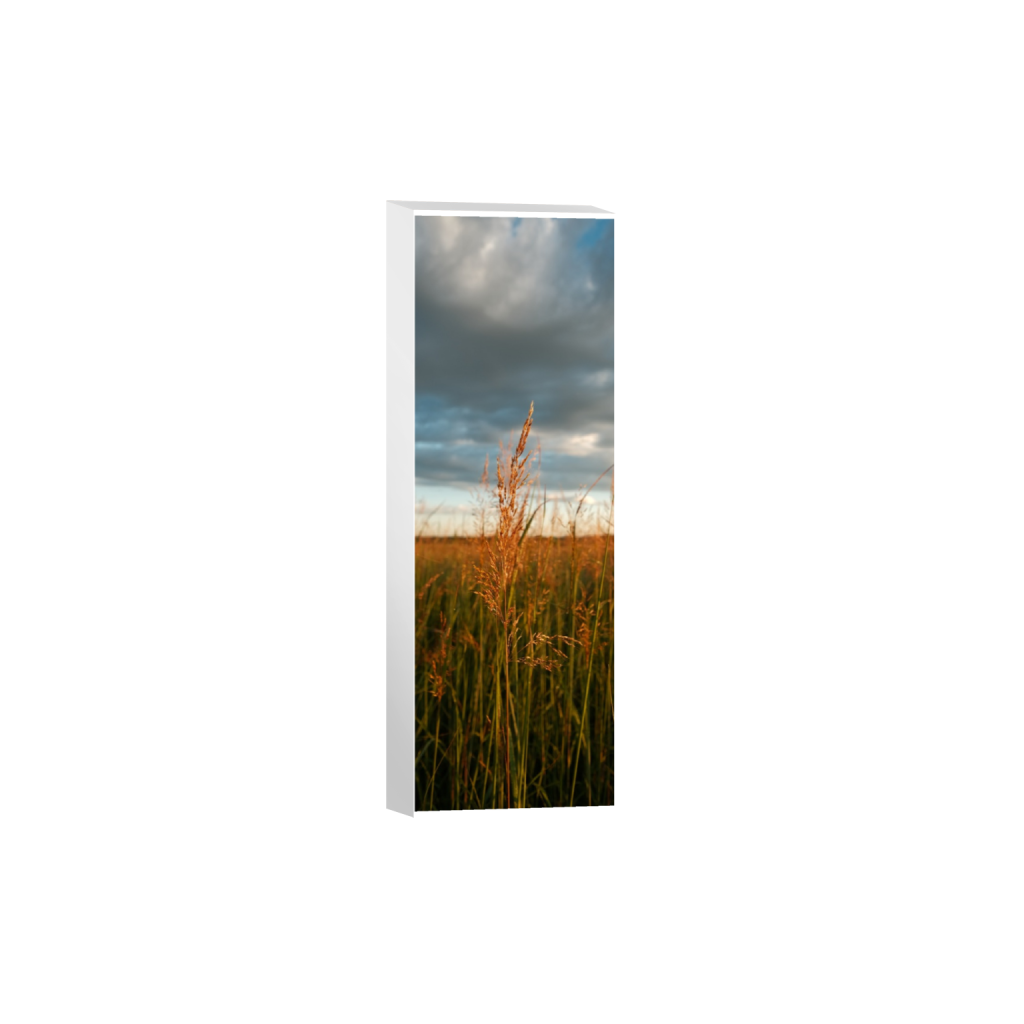 ptq_7_2_1040_0_2080_6240_0_true_ffffff_2_2_.png