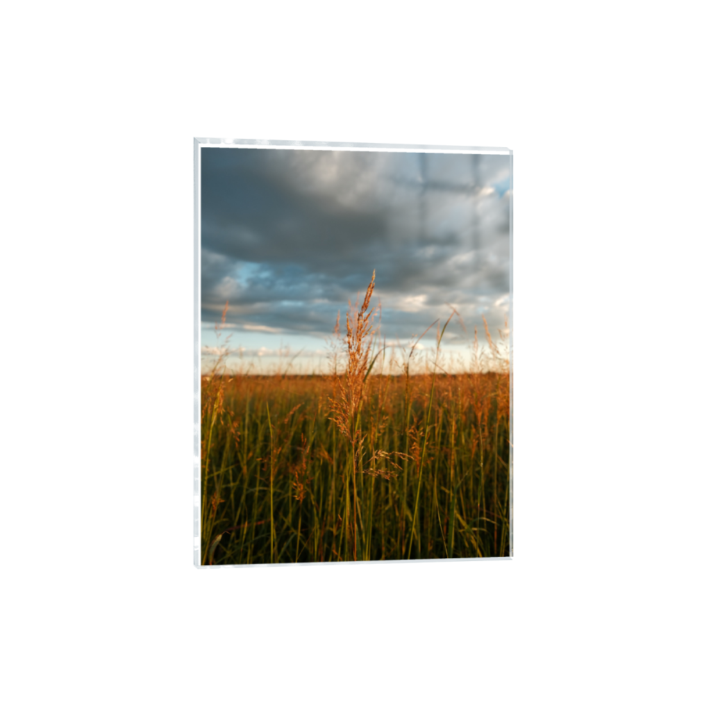 ptq_17_5_0_346_4160_5546_0_true_ffffff_2_2_.png