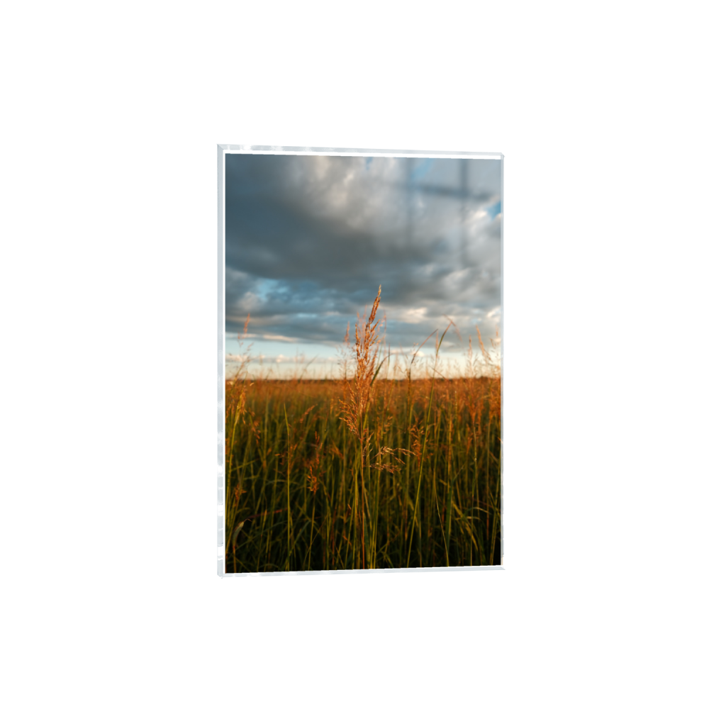 ptq_17_3_0_0_4160_6240_0_true_ffffff_2_2_.png