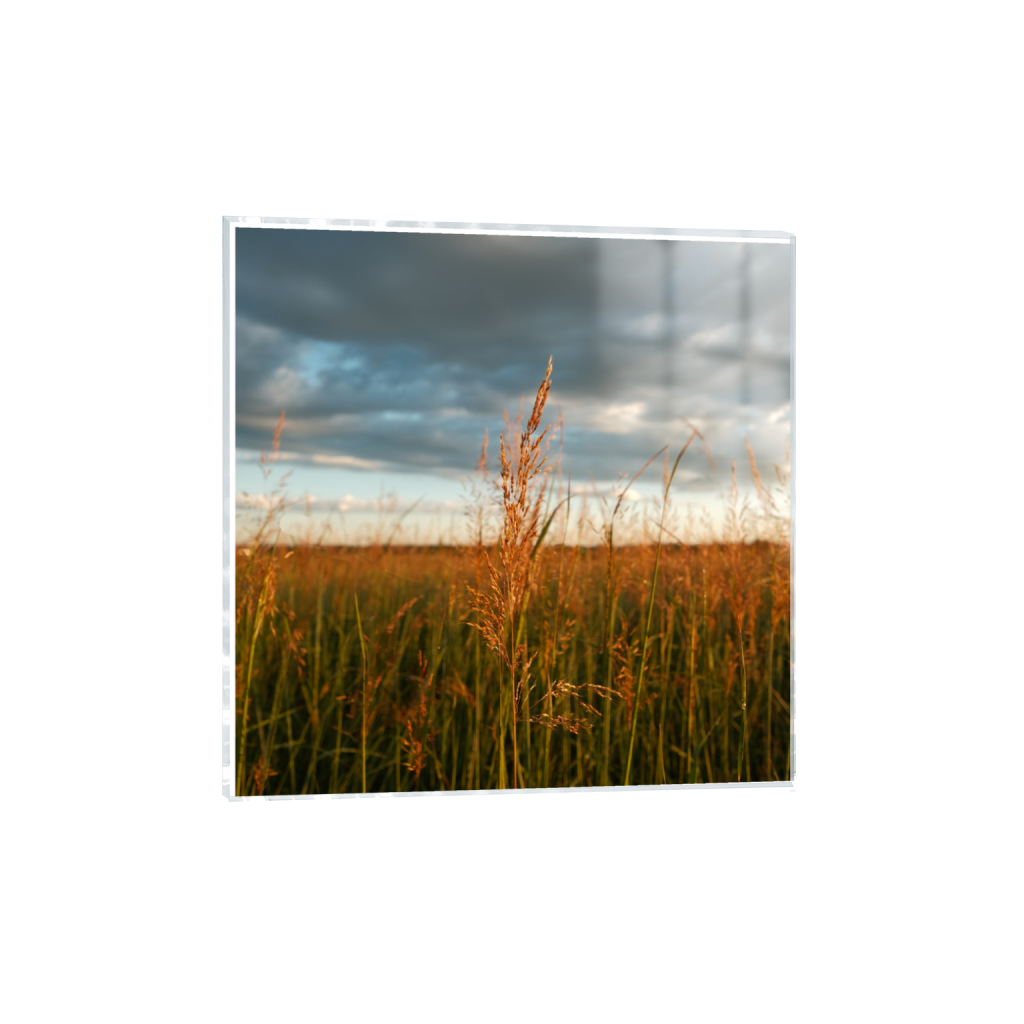 ptq_17_0_0_1040_4160_4160_0_true_ffffff_2_2_.png