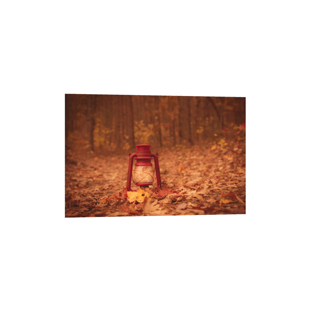 ptq_1_3_0_278_4172_2781_0_false_ffffff_0_0_.png
