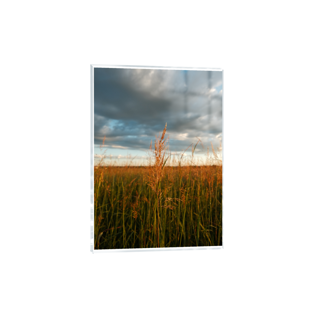 ptq_17_7_0_208_4160_5824_0_true_ffffff_2_2_.png