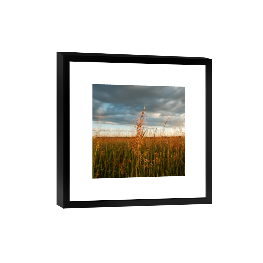 ptq_45_0_0_1040_4160_4160_0_true_ffffff_2_2_.png