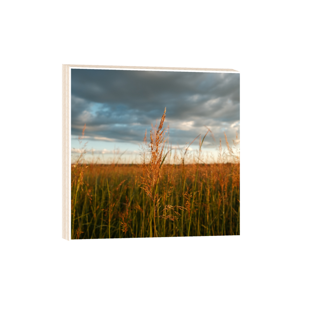 ptq_29_0_0_1040_4160_4160_0_true_ffffff_2_2_.png