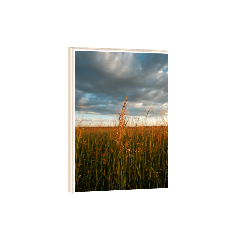 ptq_29_3_0_0_4160_6240_0_true_ffffff_2_2_.png