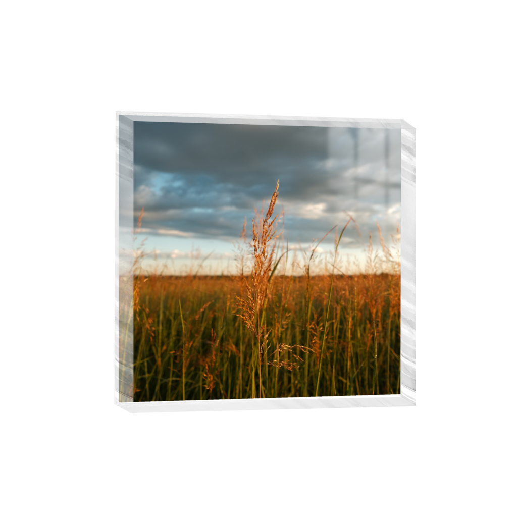 ptq_300_0_0_1040_4160_4160_0_true_ffffff_2_2_.png