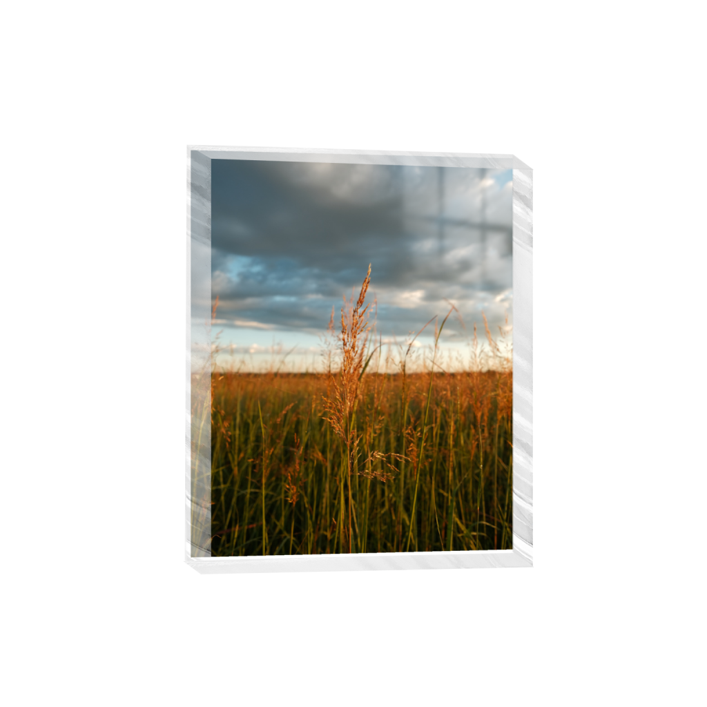 ptq_300_6_0_520_4160_5200_0_true_ffffff_2_2_.png