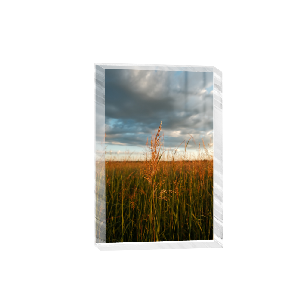 ptq_300_3_0_0_4160_6240_0_true_ffffff_2_2_.png
