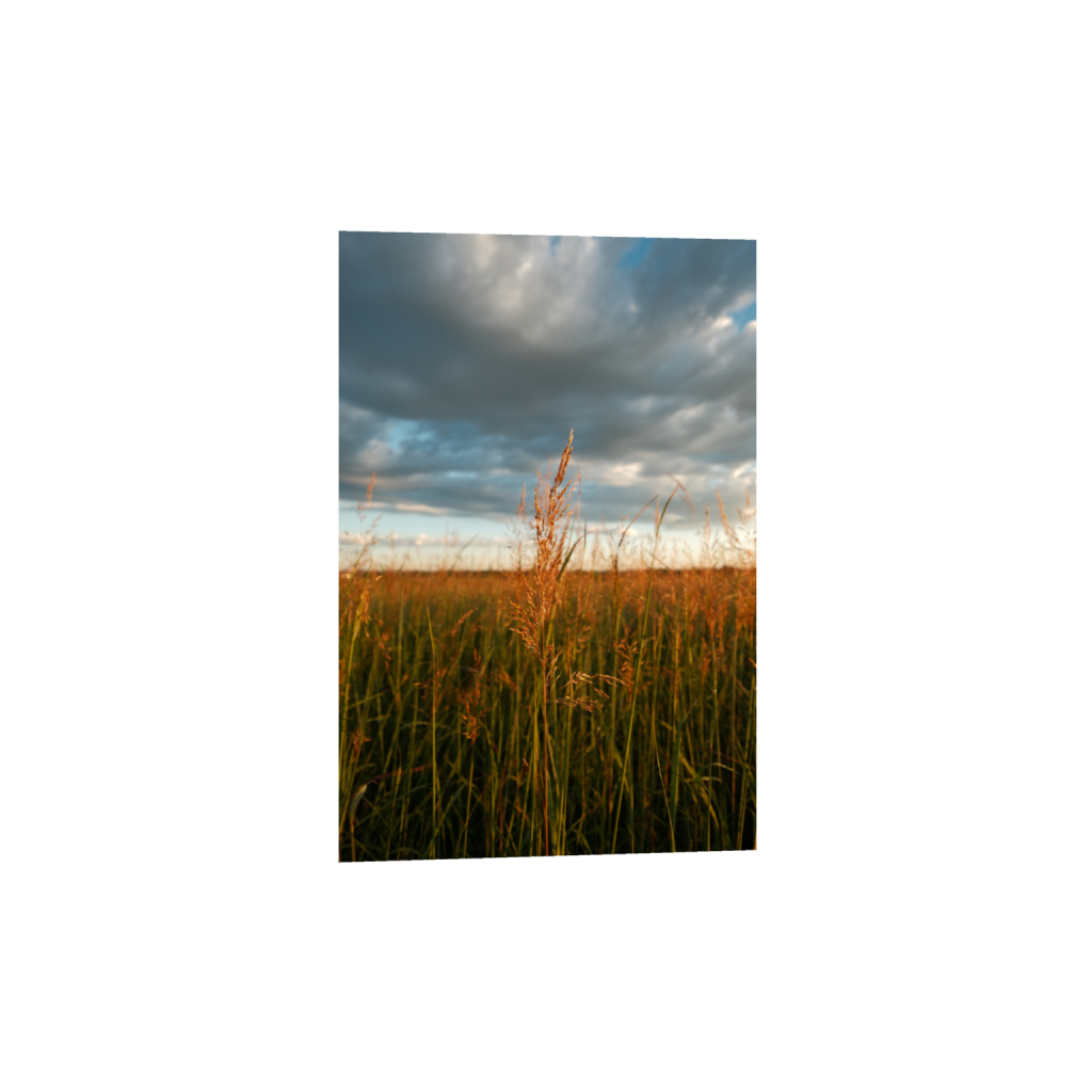 ptq_1_3_0_0_4160_6240_0_true_ffffff_2_2_.png