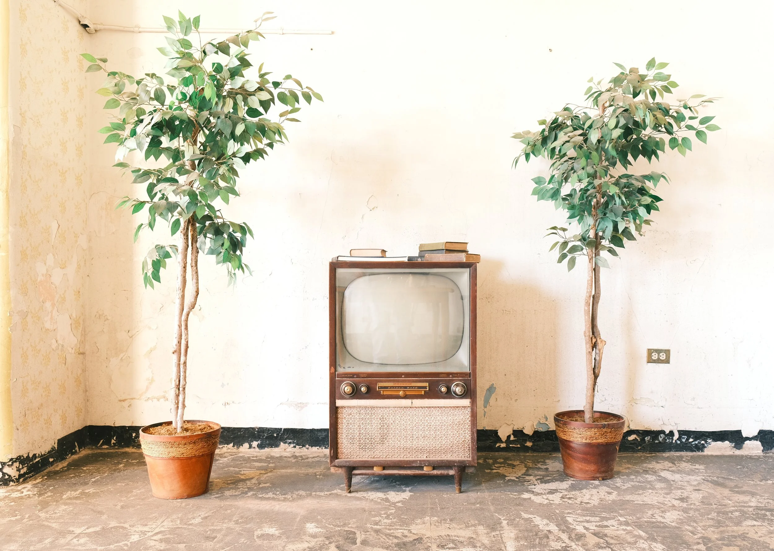 Trans Alleghany Lunatic Asylum.jpg