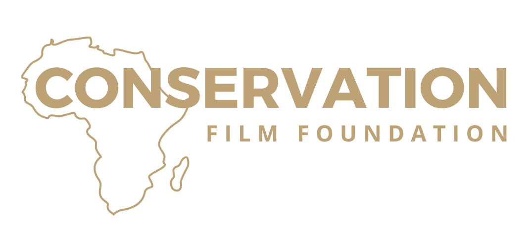 CONSERVATION4-e1660936649347.png