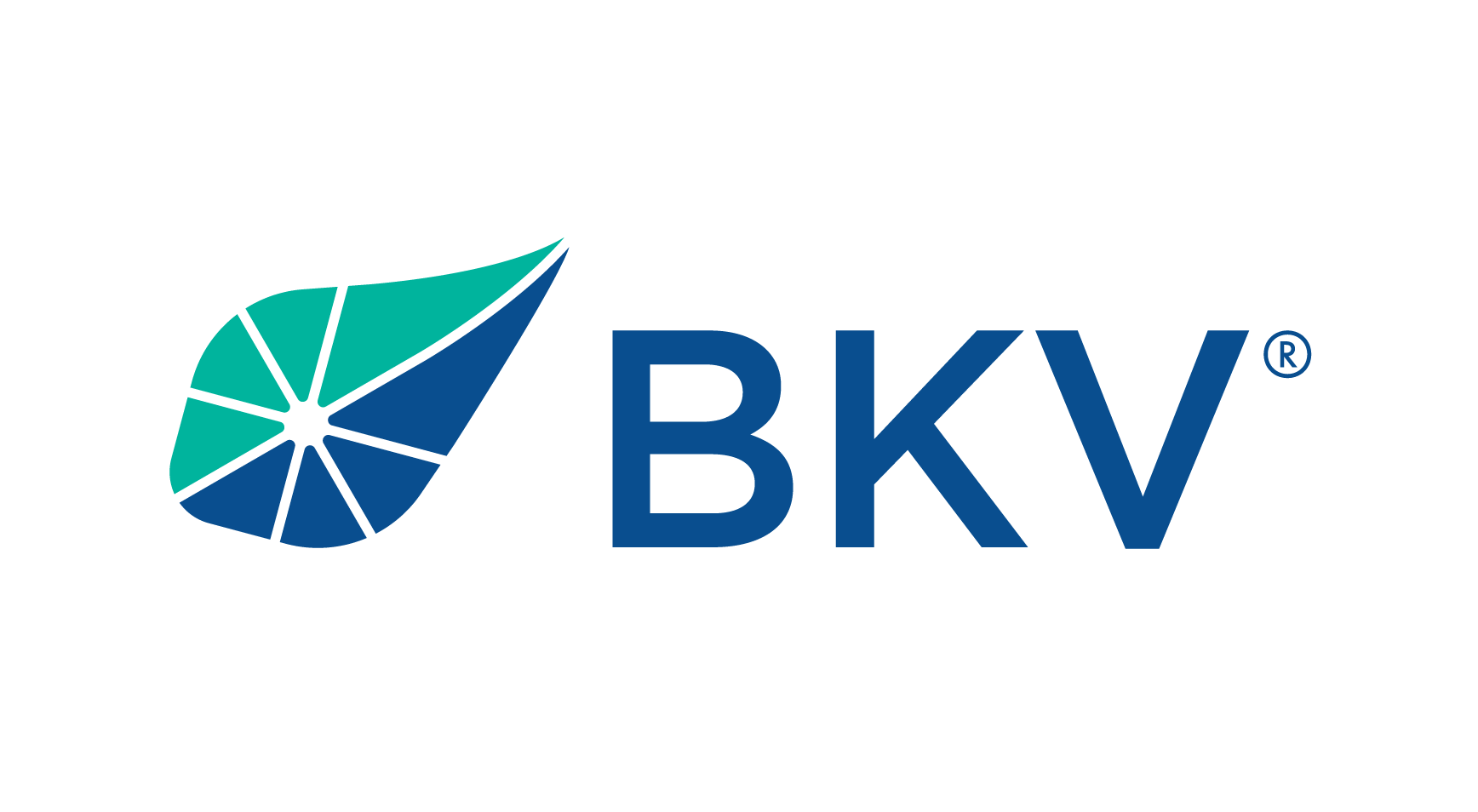 BKV_Logo_Horizontal_RGB.png