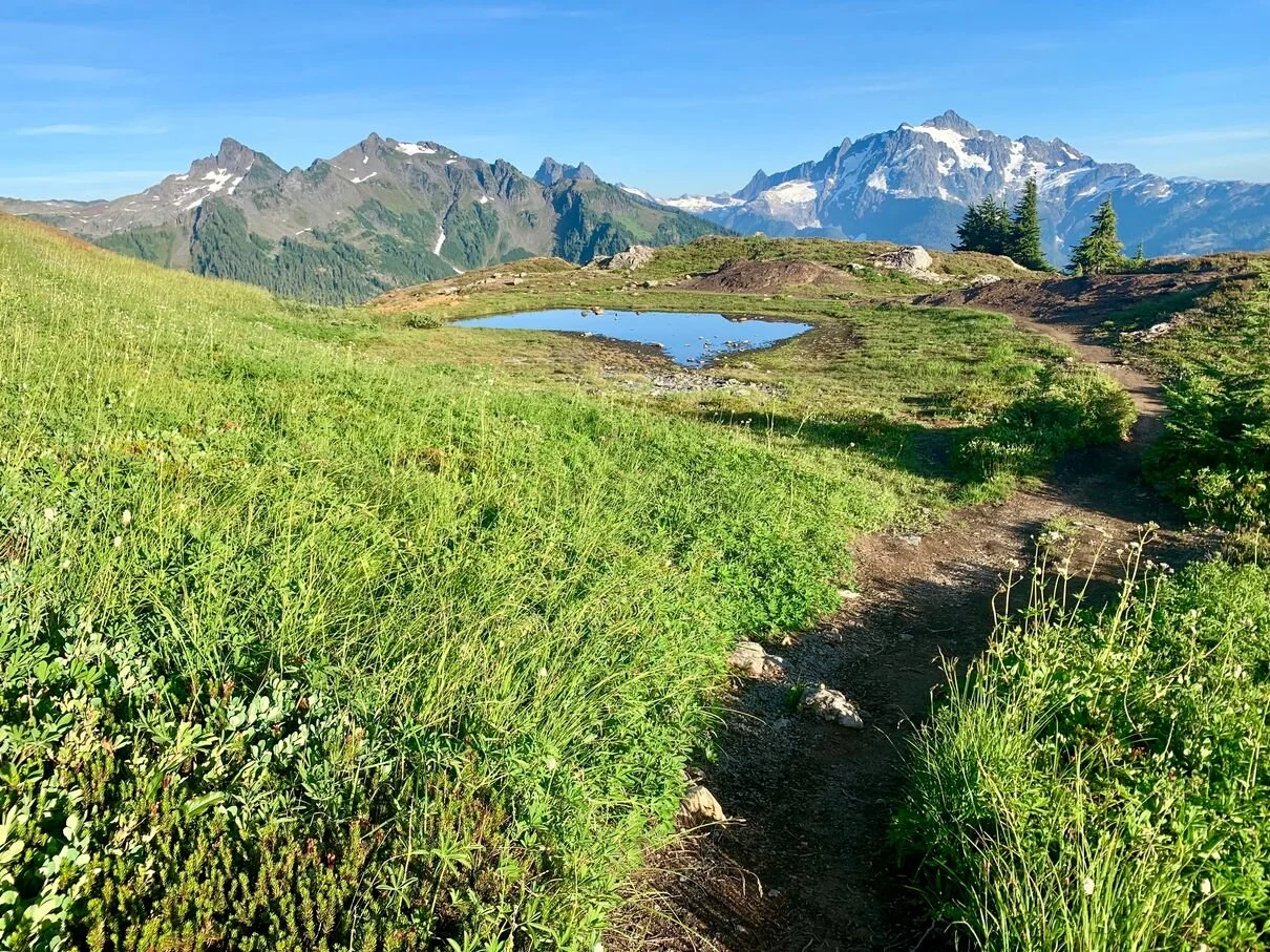 Shuksan.jpg