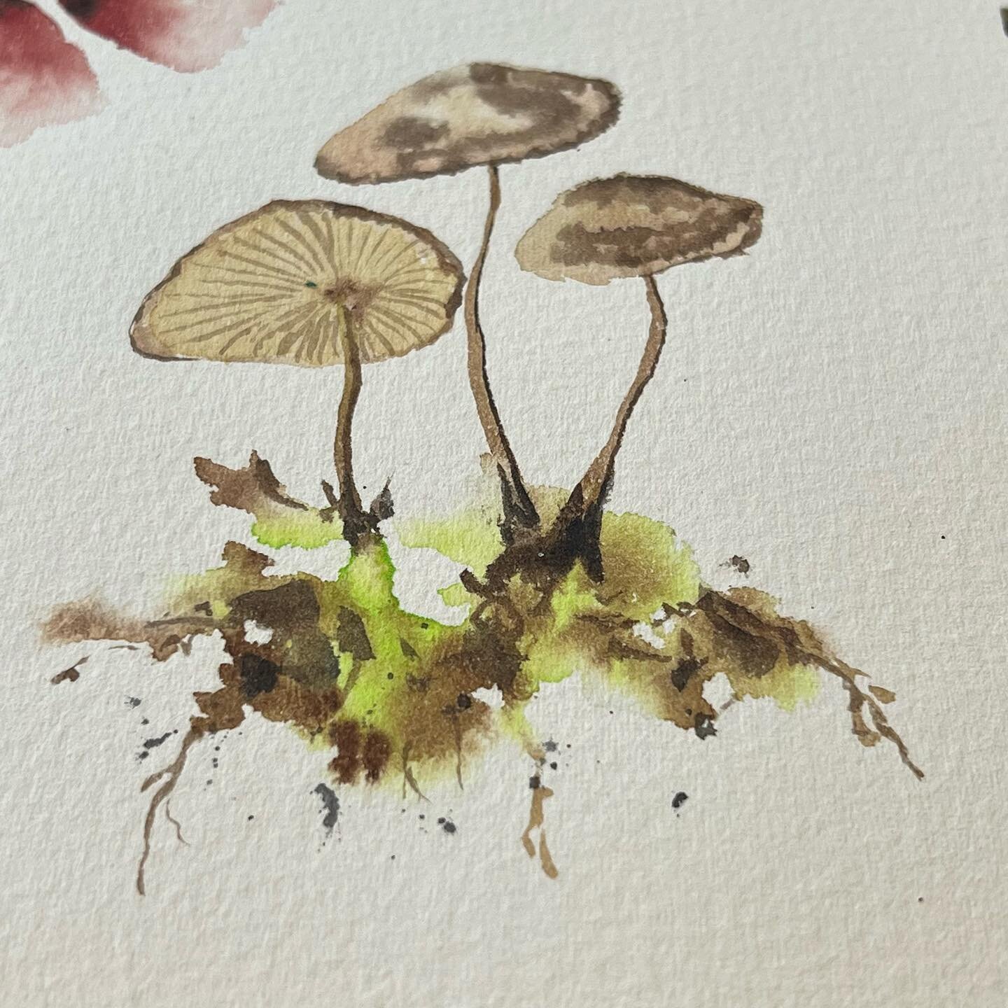 Friday - sketchbook - mushrooms 🍄 
.
.
.
#watercolor #watercolorsketch #watercolorsketchbook #coloredpencil #coloredpencilbotanical #botanicalsketchbook #painteveryday #mushroomart