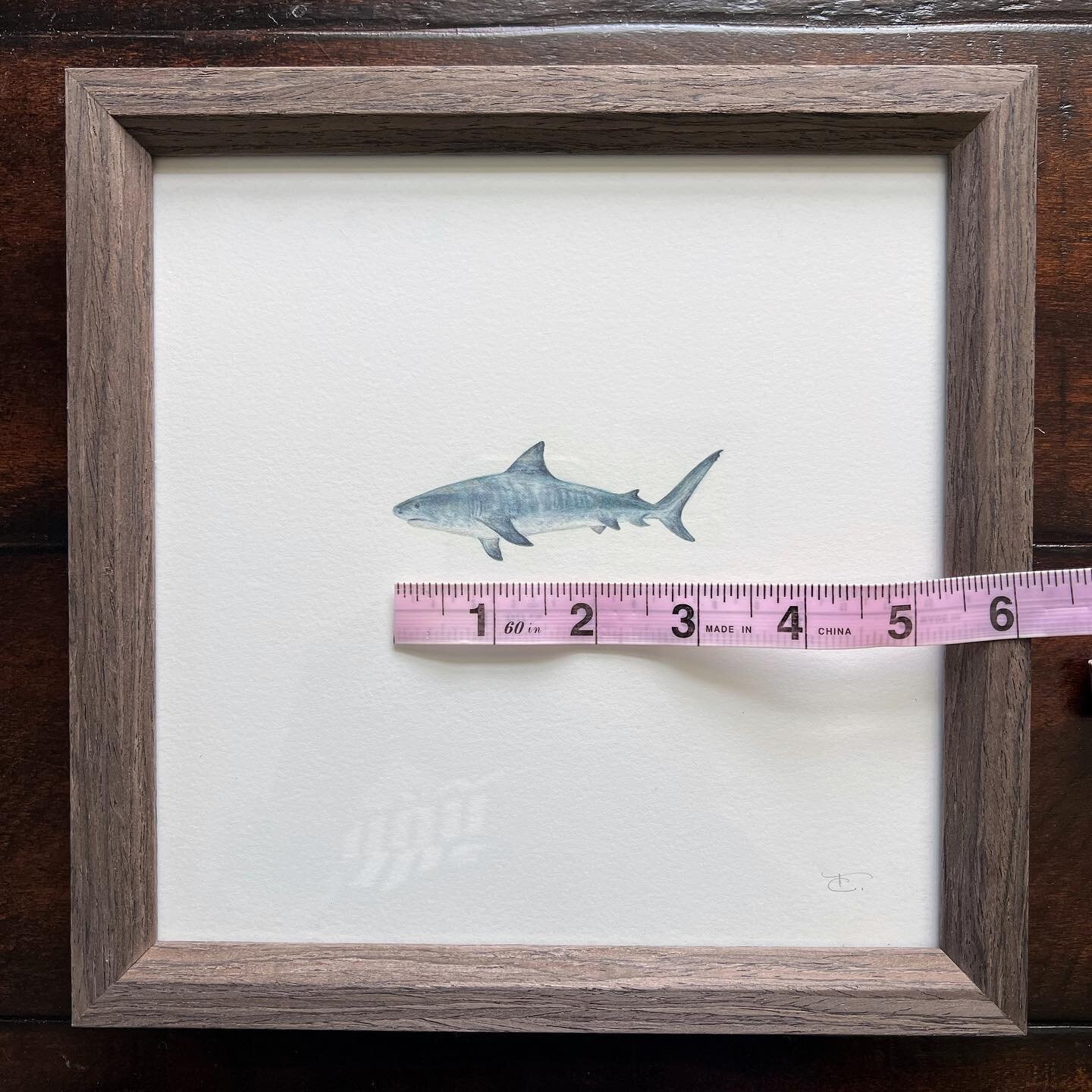 A small but mighty 3.5 inches, this little GWS will be part of &lsquo;Create: A Jaws Inspired Art Show&rsquo; July 15-22 at @kjeldmahoney_afterglowfineart gallery &mdash; such a fun theme and so much amazing work to see!

&lsquo;You&rsquo;re Gonna Ne