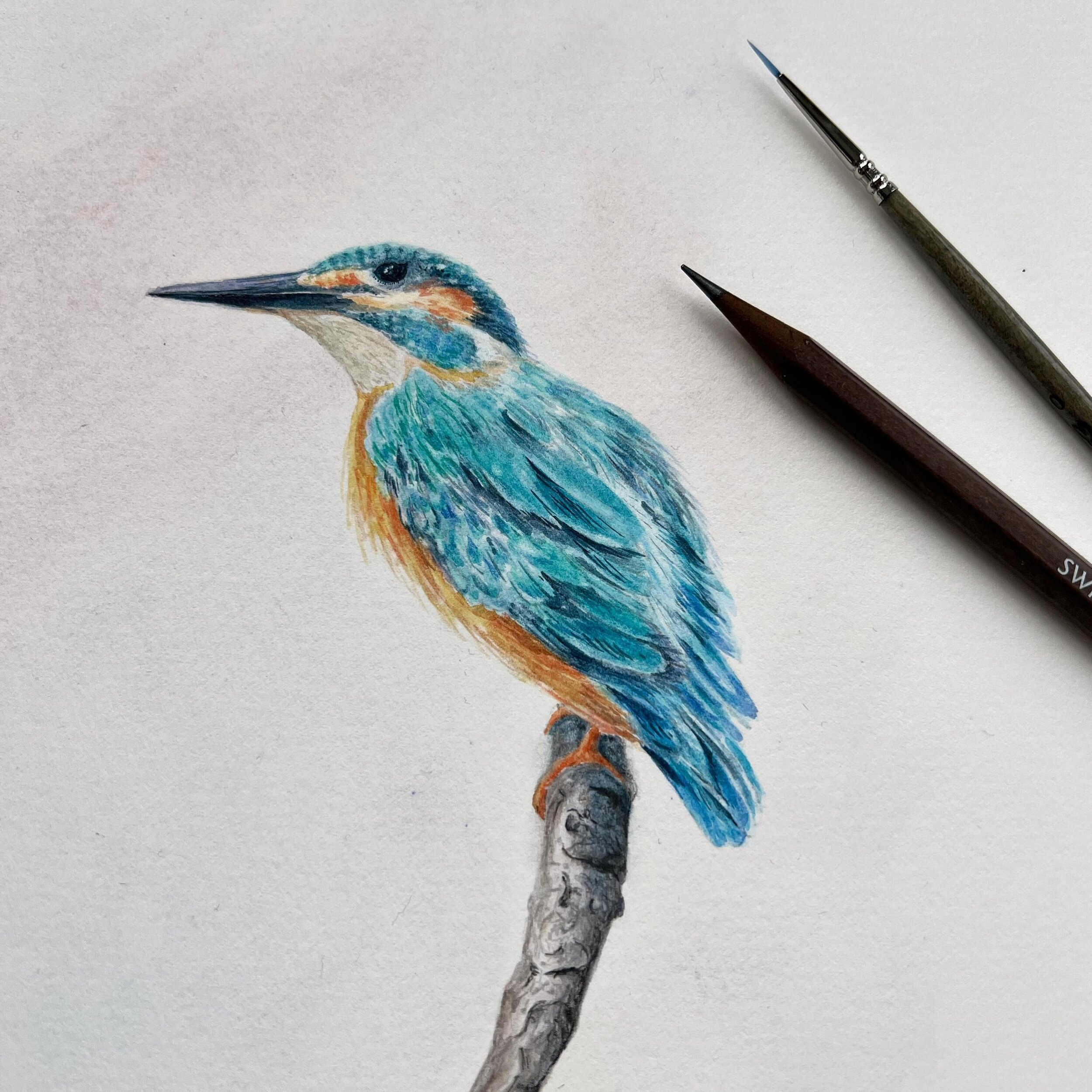 Just hatched! 🐦 🎨 🖌️ 
.
.
.
#watercolor #kingfisher #watercolorpainting #watercolorillustration #birdillustration #watercolorartist #lovethoseblues