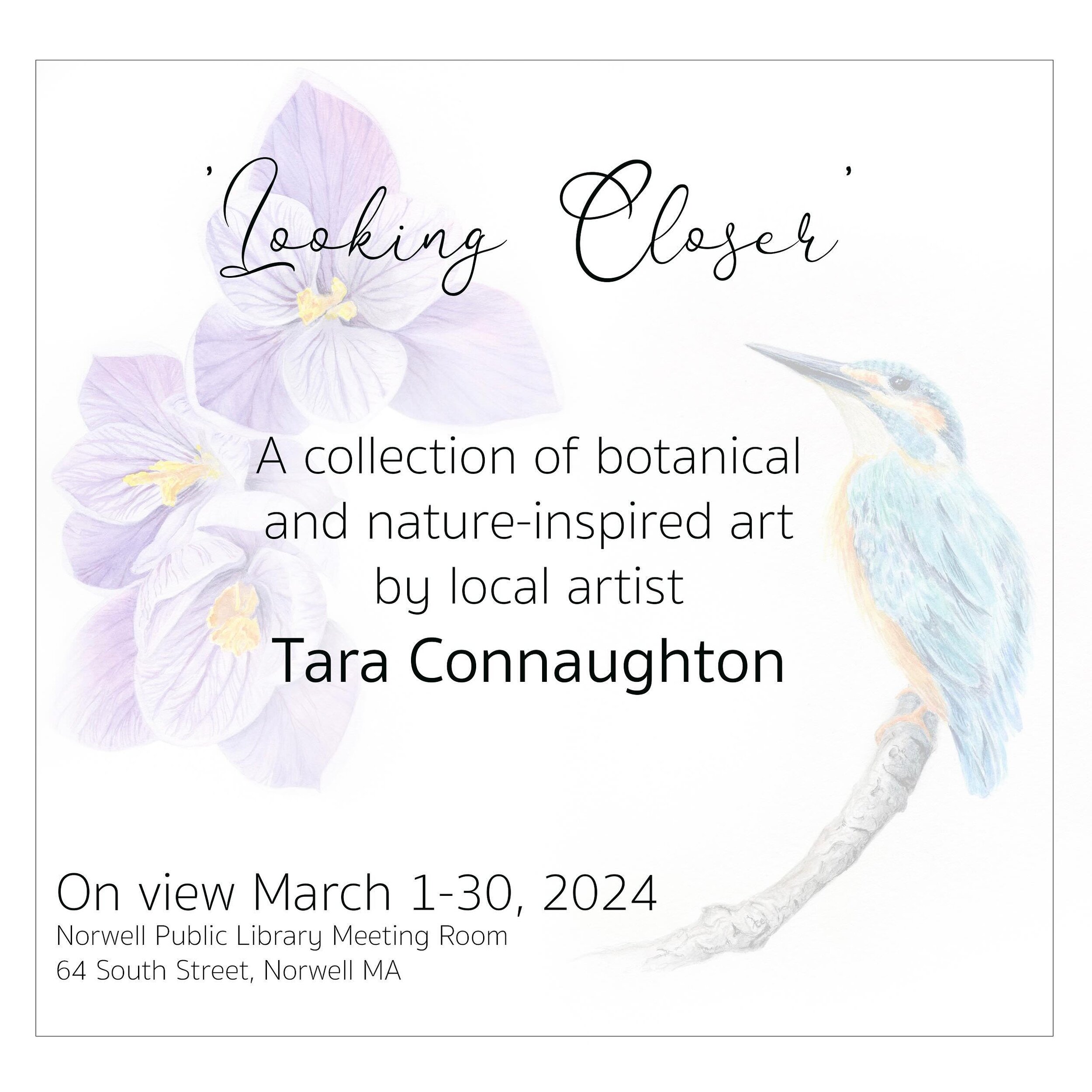 If you are South Shore MA local, my solo exhibit is now up at the Norwell Library for your viewing pleasure until March 30th! Very excited to have been invited to do this show, and also very relieved to have everything on the library walls and not al