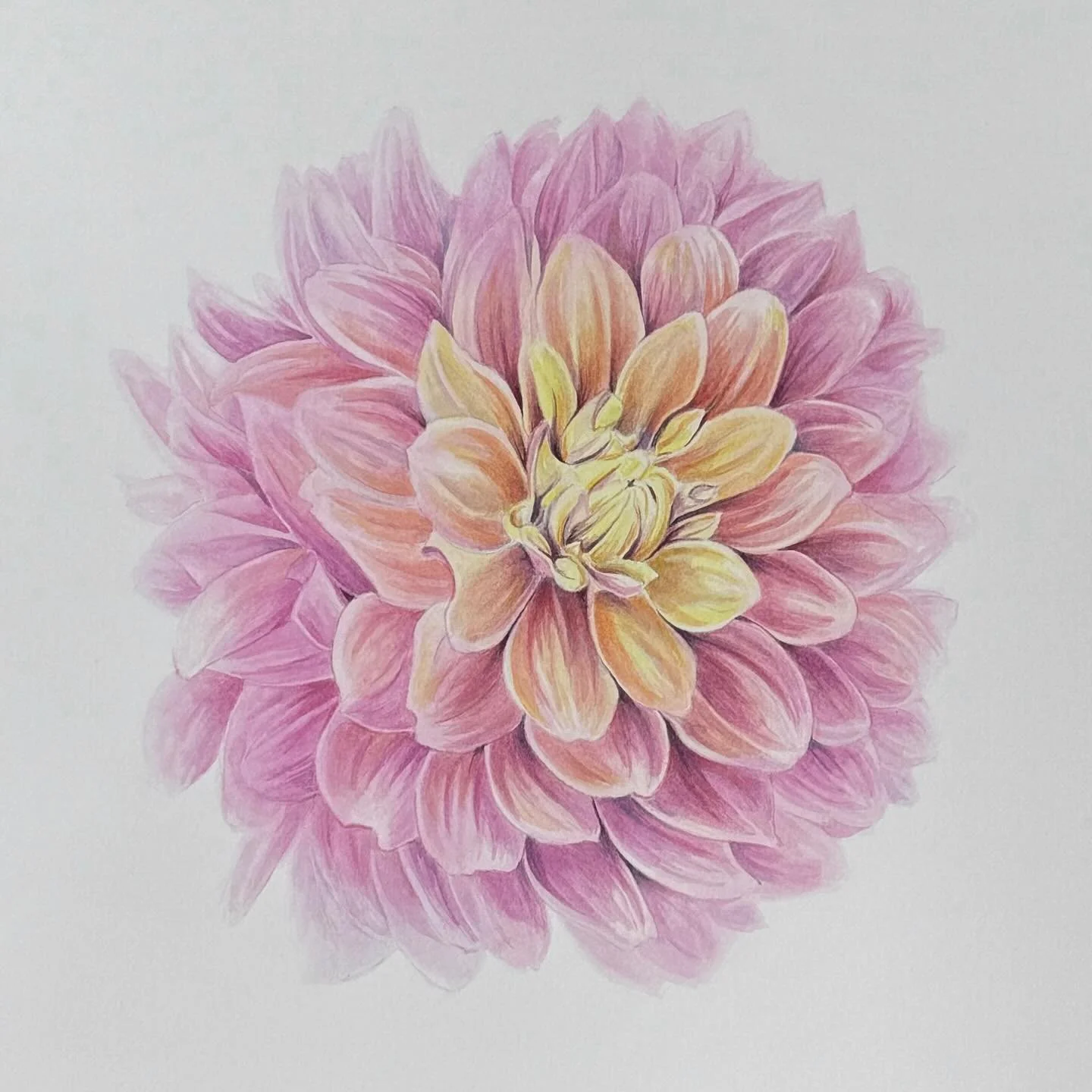 I&rsquo;ll be at @rsvphingham this Sunday, October 20th  for the 19th Annual Hingham Arts Walk as their featured artist - come visit this beautiful stationary shop and say hello! I illustrate for RSVP frequently for wedding invitations, and you&rsquo
