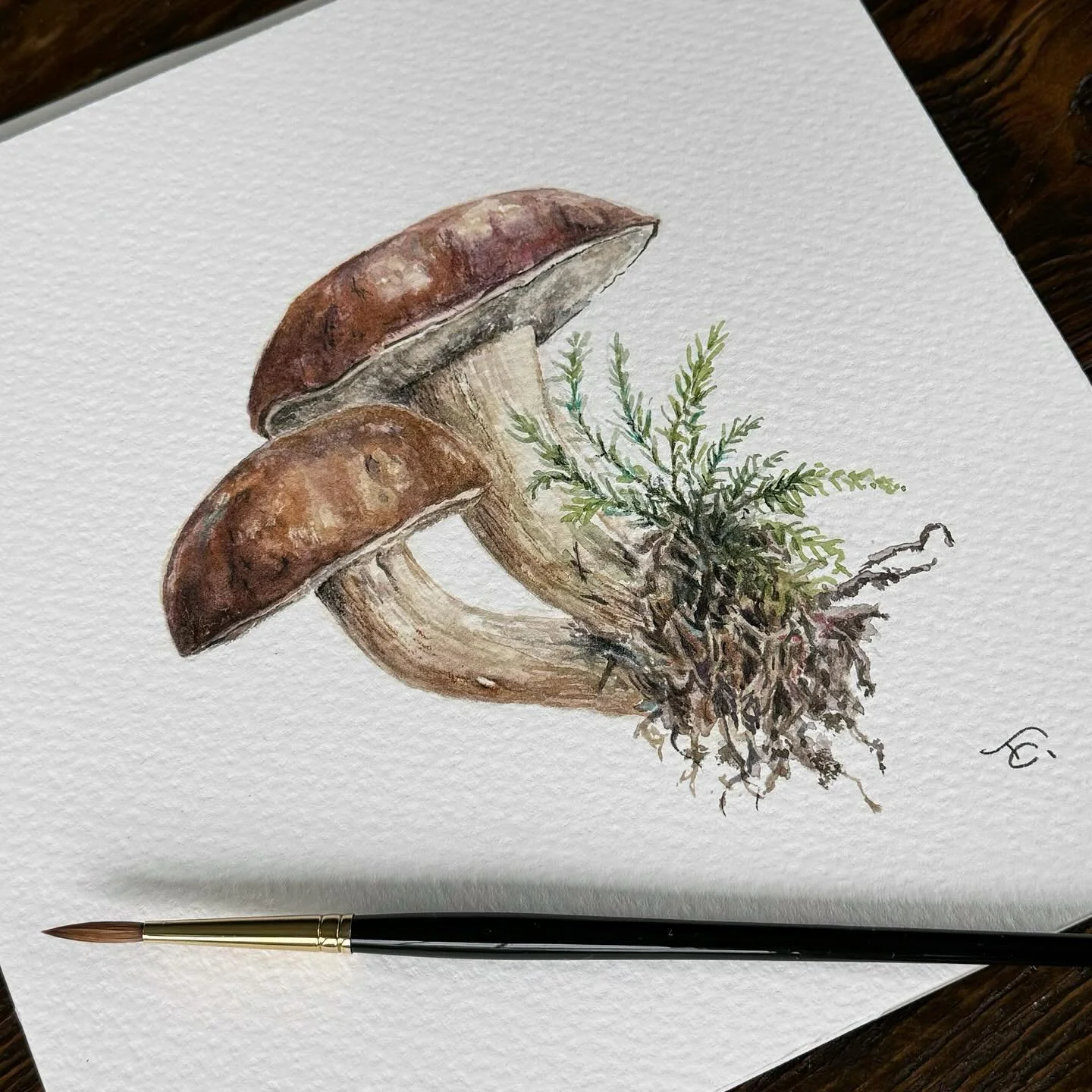 This freshly foraged chestnut mushroom painting will be at @kjeldmahoney_afterglowfineart as part of the fundraiser they&rsquo;re hosting for a local family-run mushroom business who recently lost their crop (@_mcguires_mushrooms_ ) 🍄&zwj;🟫 
I forg