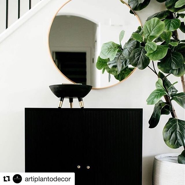 GLOW ON
&bull;
&bull;
One of the plants from @artiplantodecor for this gorgeous property. Thank you @artiplantodecor for the 🤍 and the 🍃. #Repost @artiplantodecor with @get_repost
・・・
@tailored_interior , love the white, black, gold and green! #int