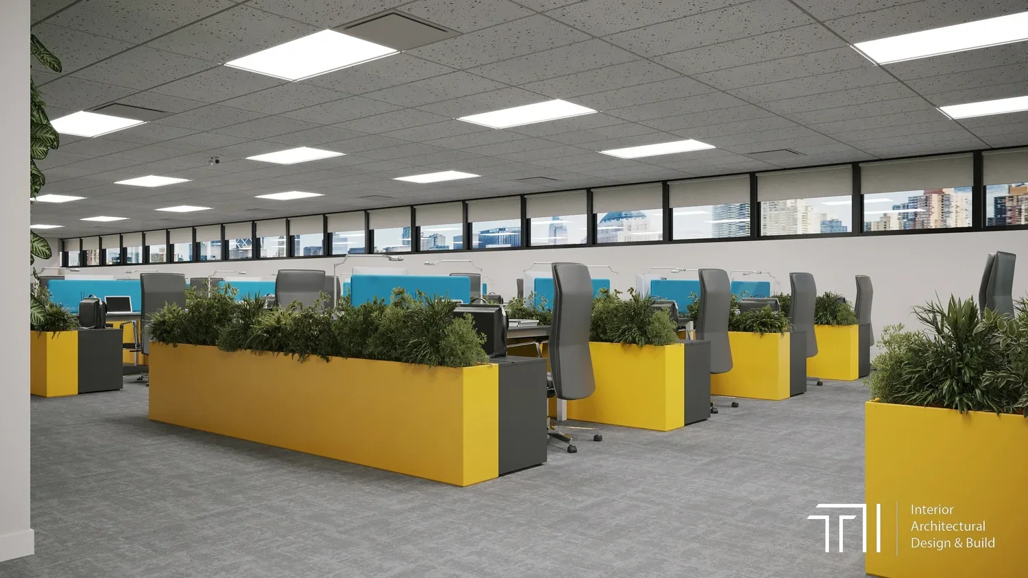 photo of a row of desks in an office with black, blue, and yellow colour accents, and plants next to black chairs