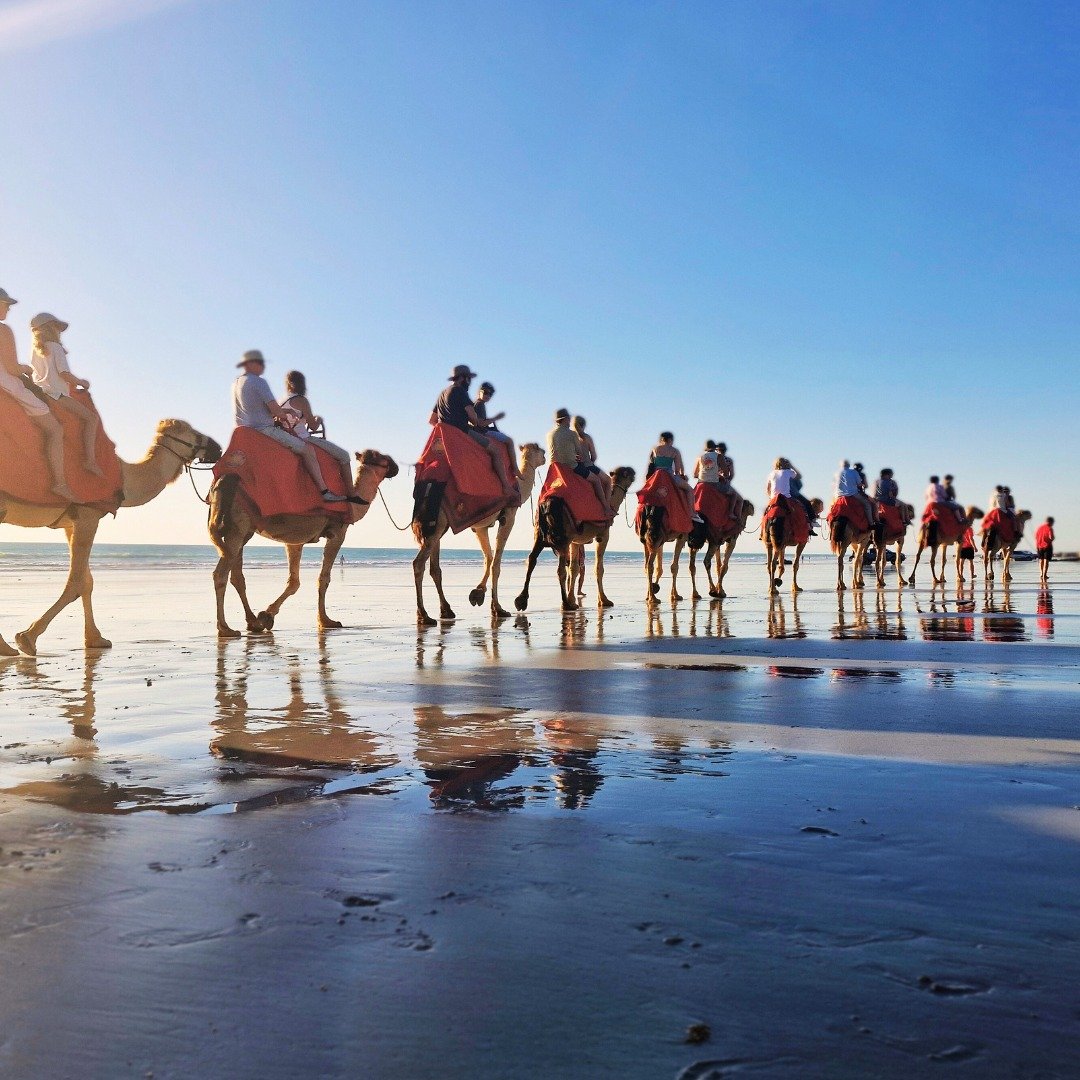 Planning a trip to chase the sun?  We have the van for you! 🥳🤩

Our vans take families on some incredible adventures.  Wherever you're dreaming about, get in touch and let's see if we can make it happen!

I've just opened the calendar for winter ne