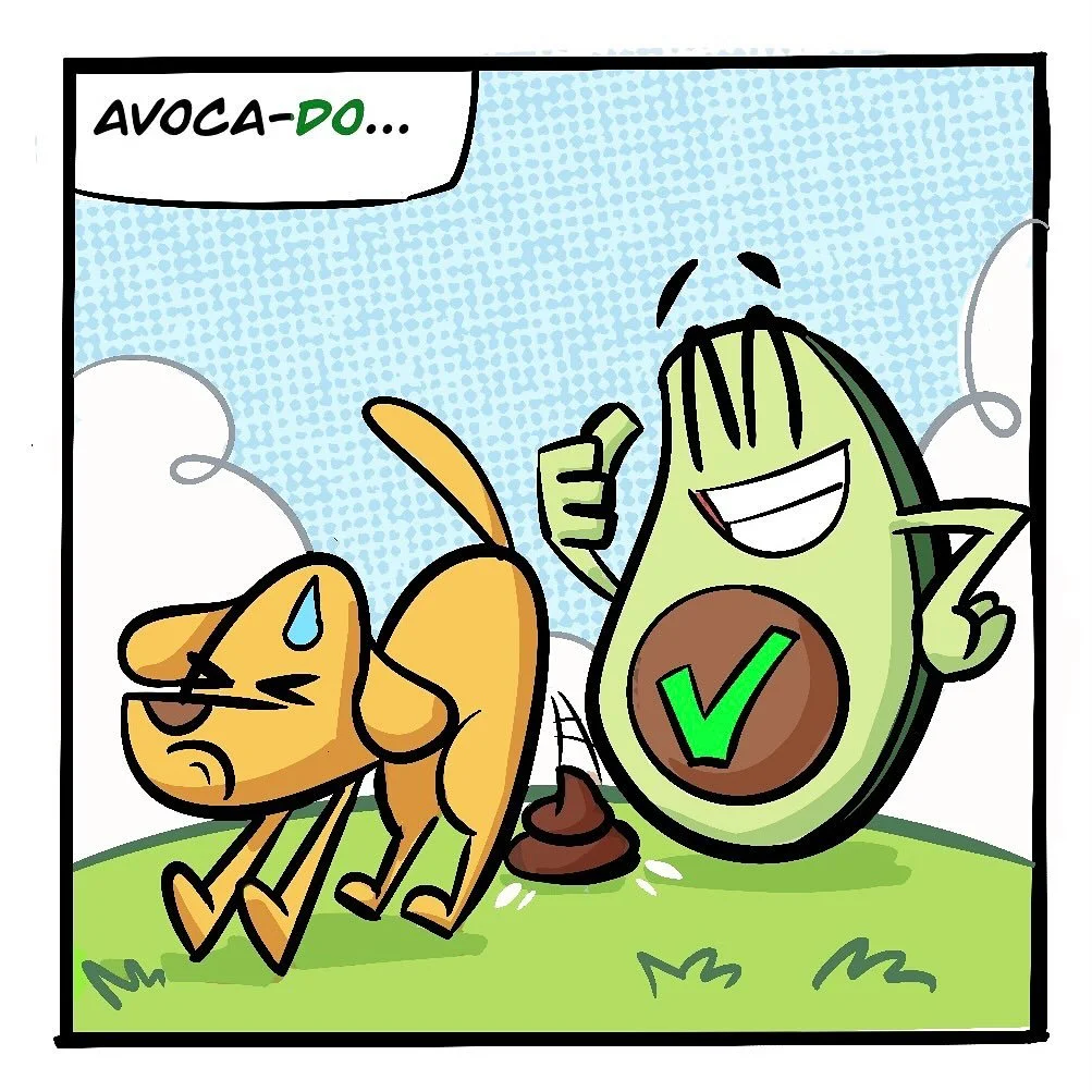 We interrupt your browsing for an Important public information message. #comic #ipad #procreate #avocado #avocadont #illustration #cartoon
